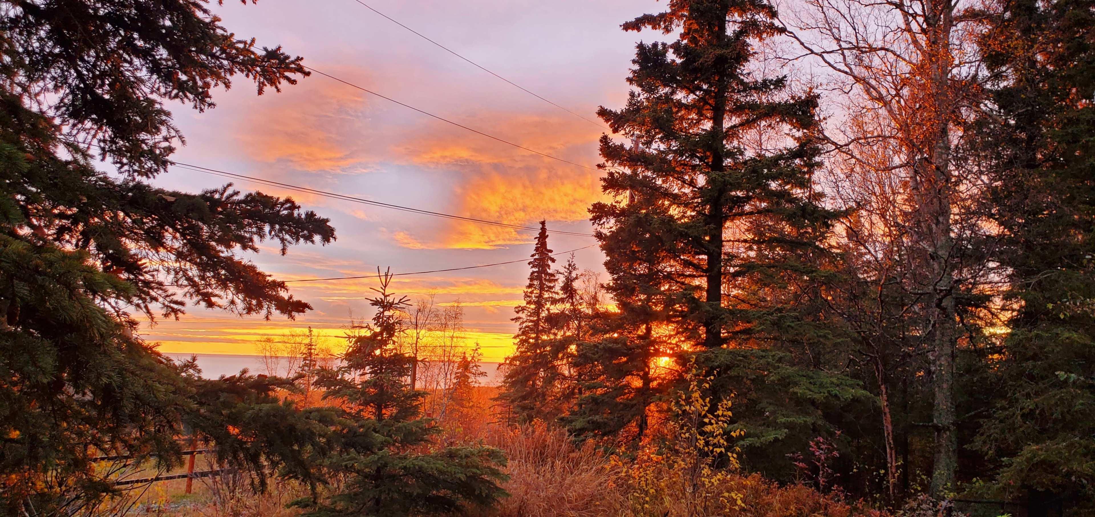 The scene shows a vibrant sunset behind tall trees, with power lines visible against a colorful sky.