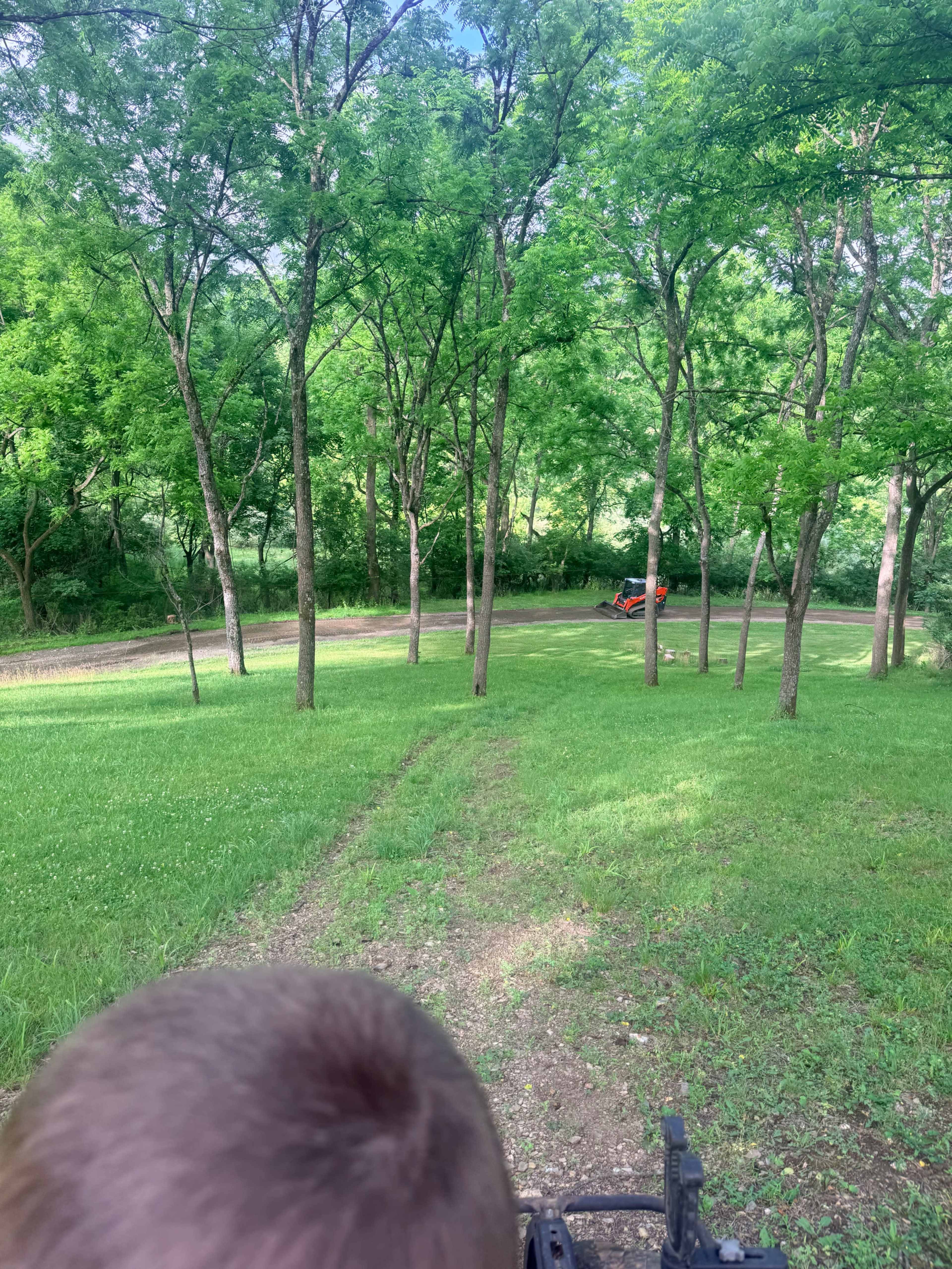 The image shows a view of a grassy area with trees on either side and a dirt path leading to a road where a red vehicle is visible.