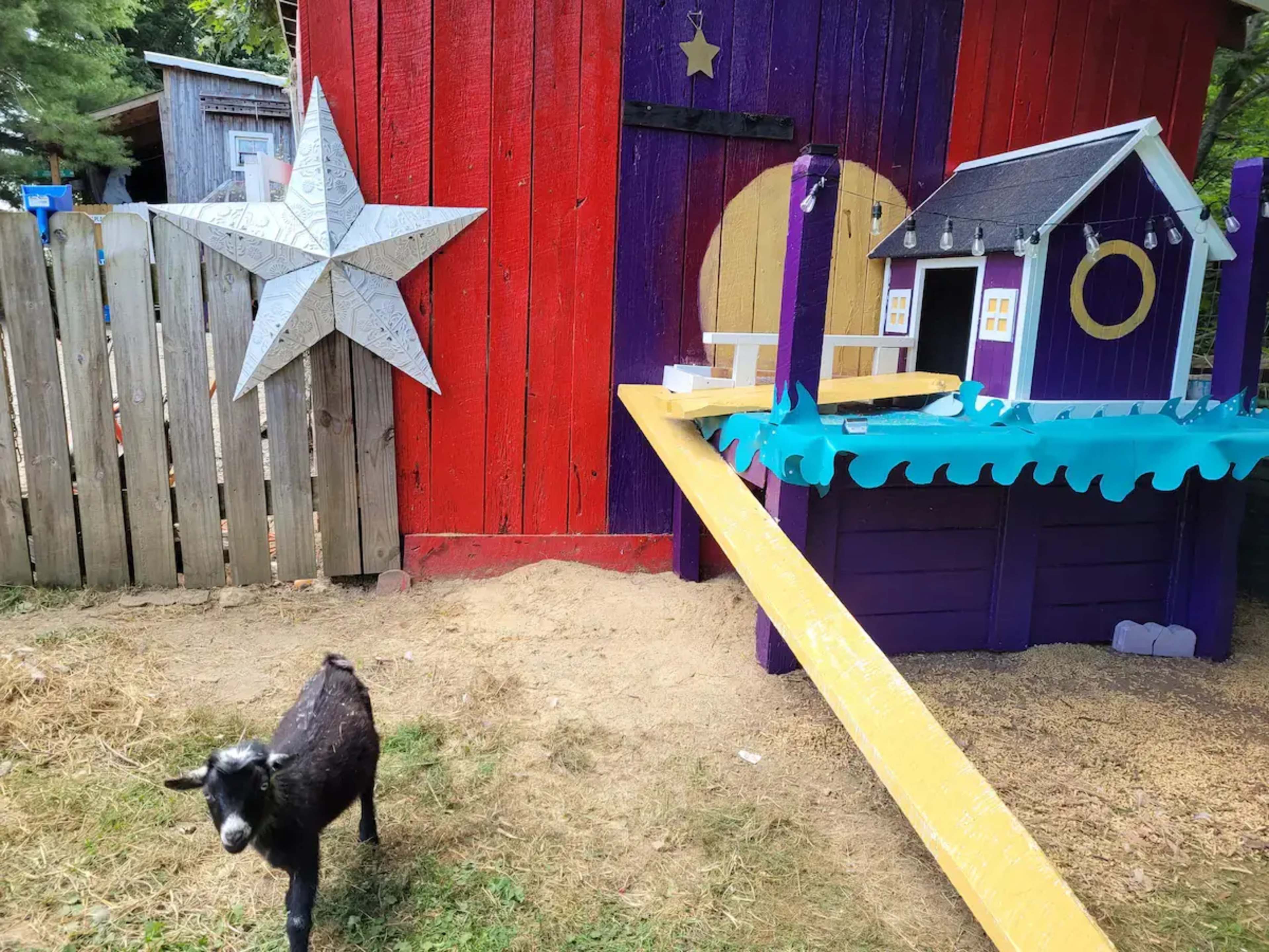 A small black goat stands near a colorful playhouse with a bright yellow ramp and a large wooden star attached to a fence.
