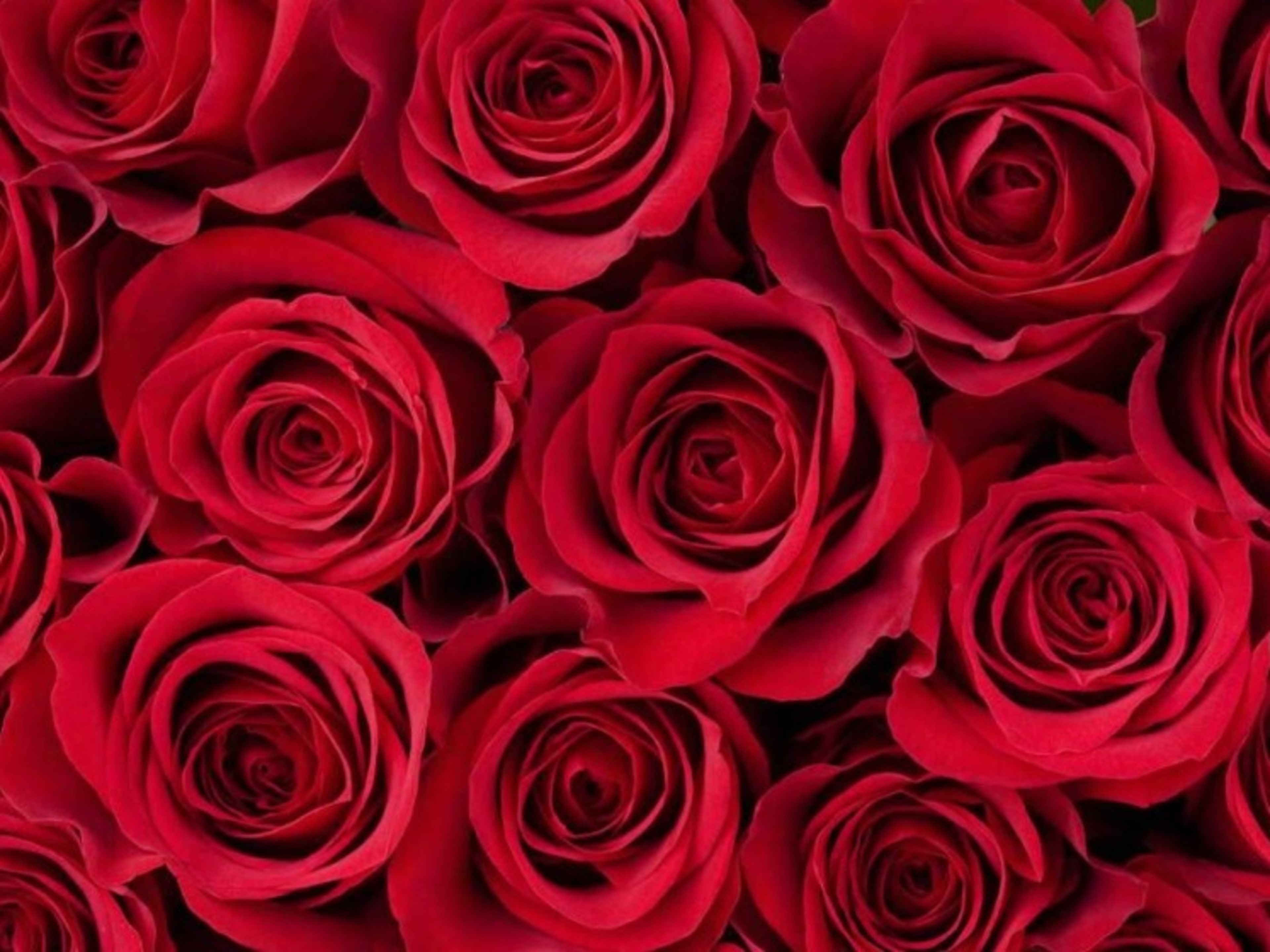 Secure Your Unforgettable Experience