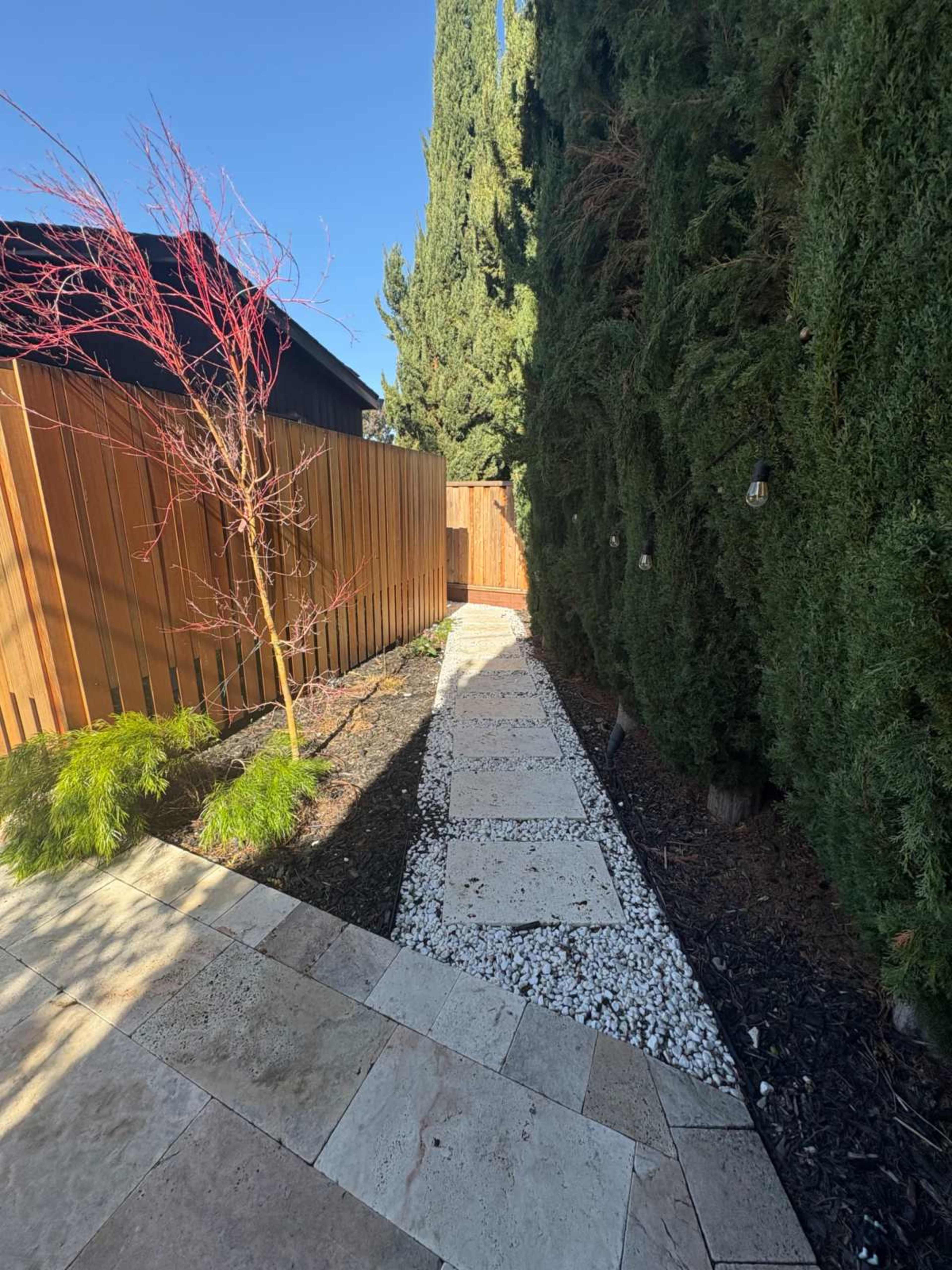 A stone pathway leads through a narrow yard lined with tall greenery and wooden fencing.