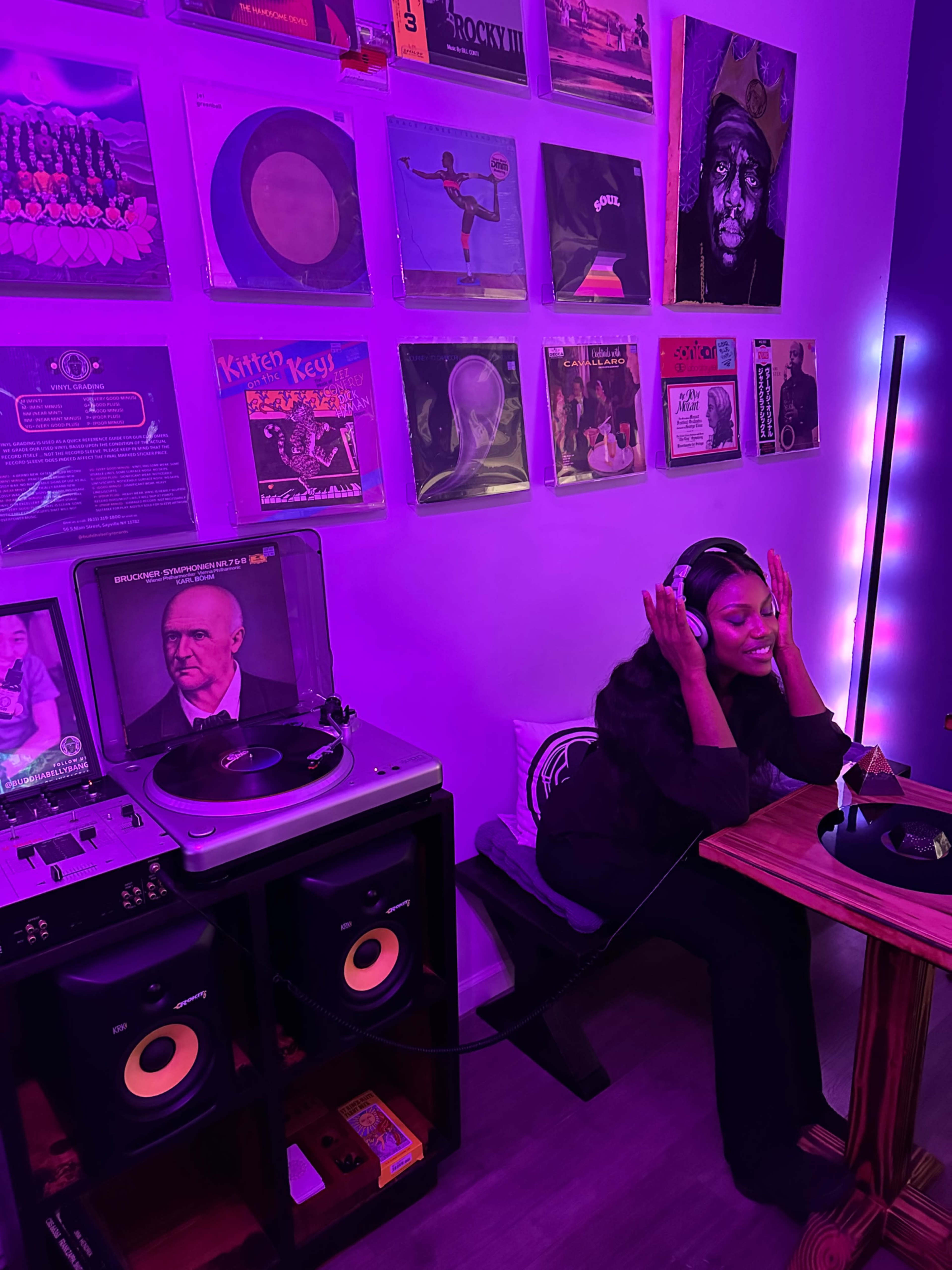 Cozy Music Lounge with Private Entrance Image in Islip, Sayville, NY