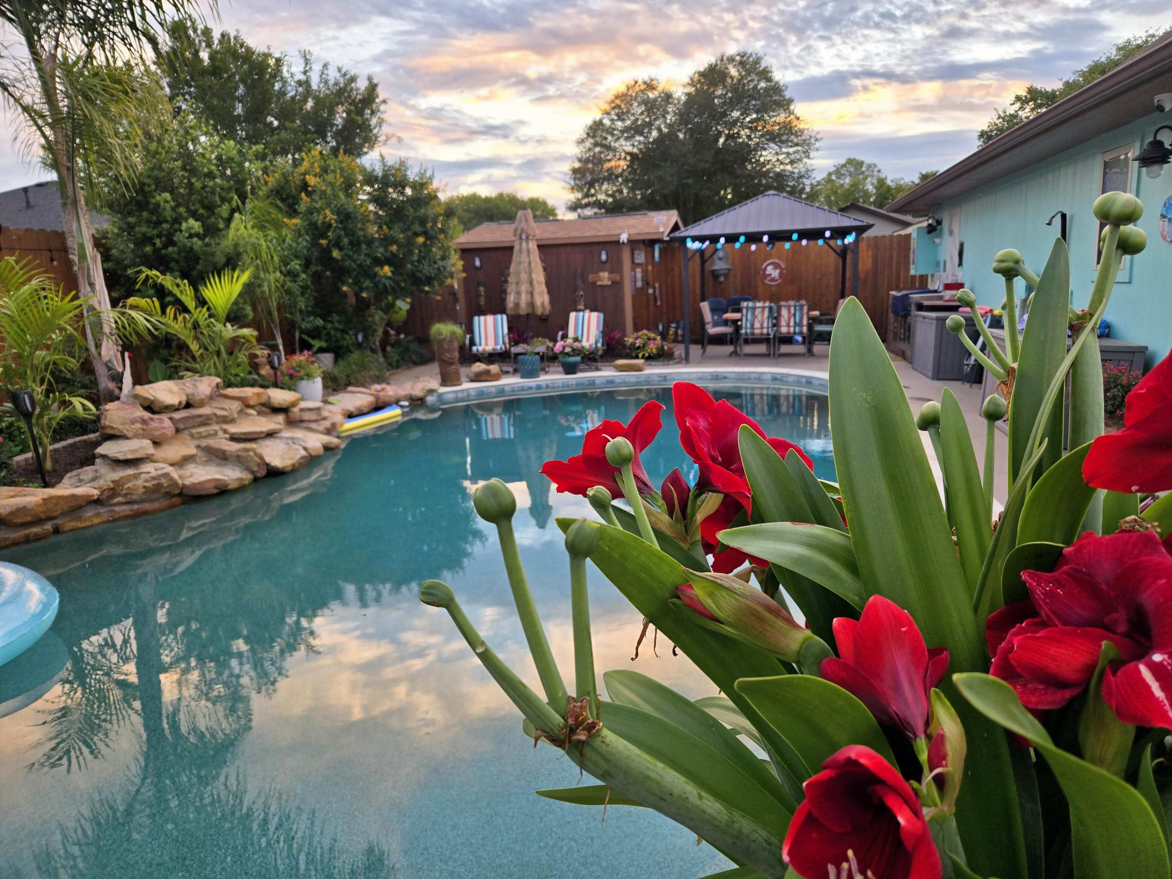 A vibrant arrangement of red flowers is prominently displayed in the foreground, while a clear swimming pool reflects the sky at sunset, surrounded by lush greenery and a relaxation area in the background.