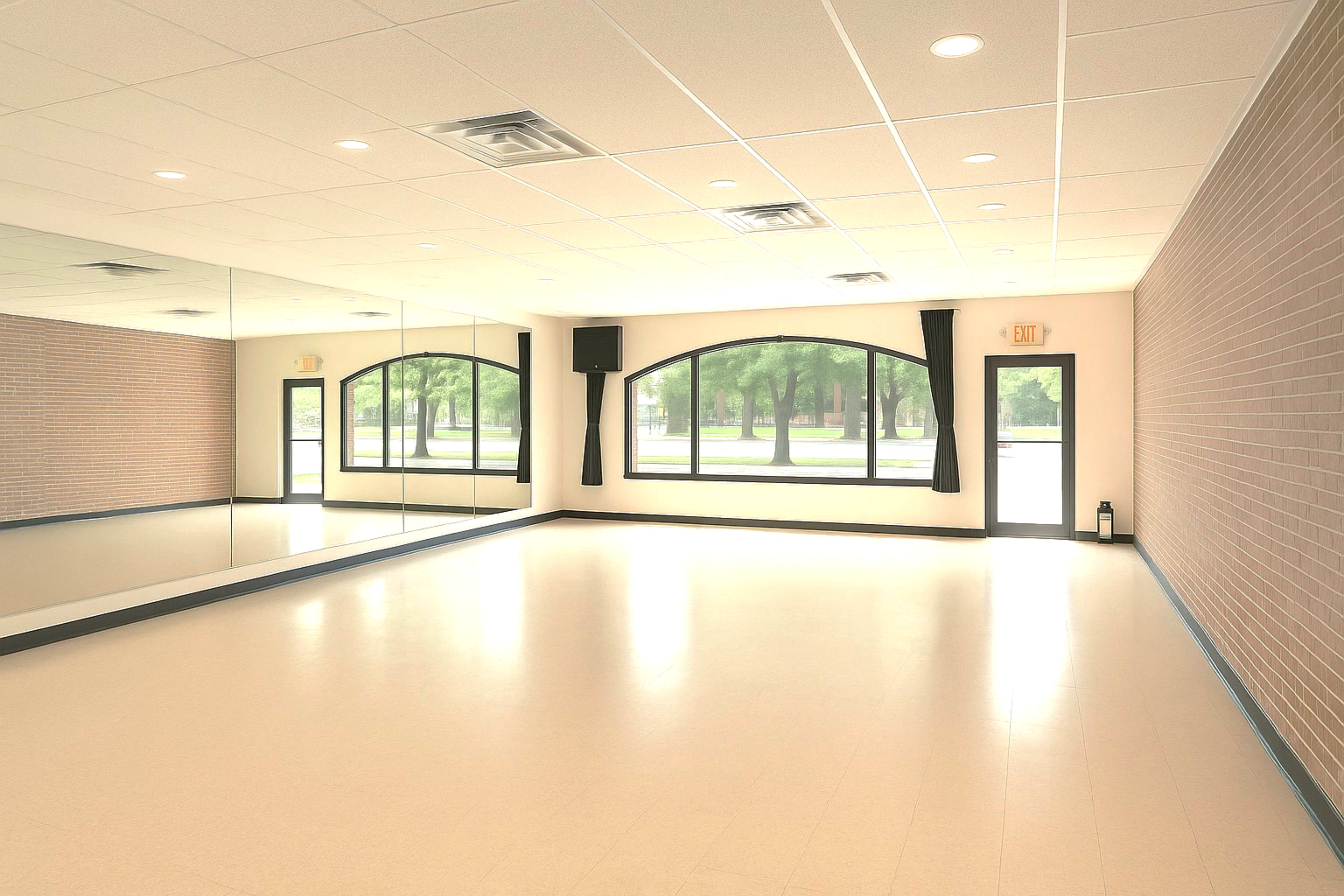 The image shows a spacious, empty room with a large mirror and an arched window overlooking a green area outside.