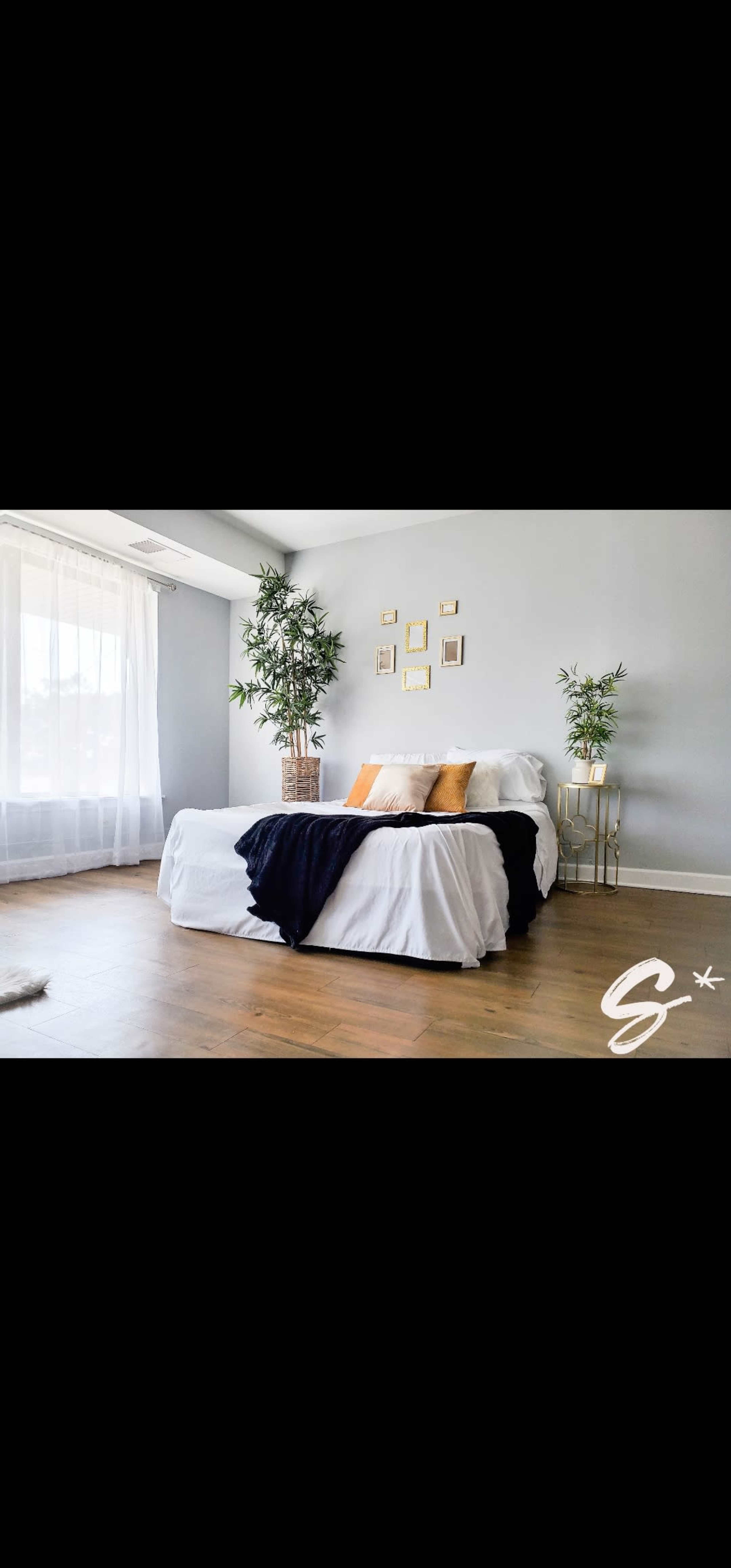 A bright bedroom features a white bed with black and orange pillows, surrounded by plants and adorned with framed pictures on the wall.