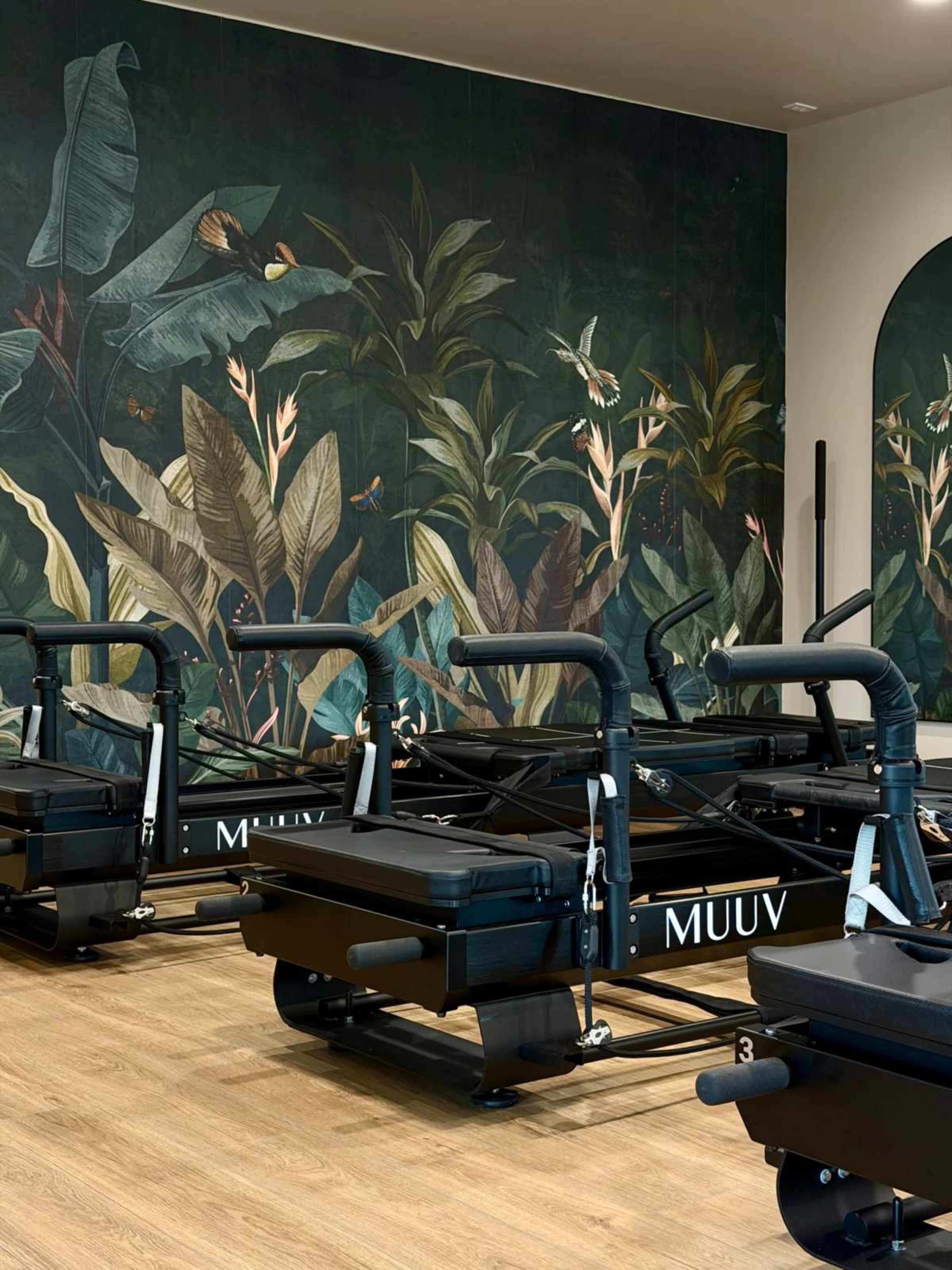 Bright, Modern Fitness & Wellness Studio for Classes, Workshops, and Content Creation Image in Concord, Concord, CA