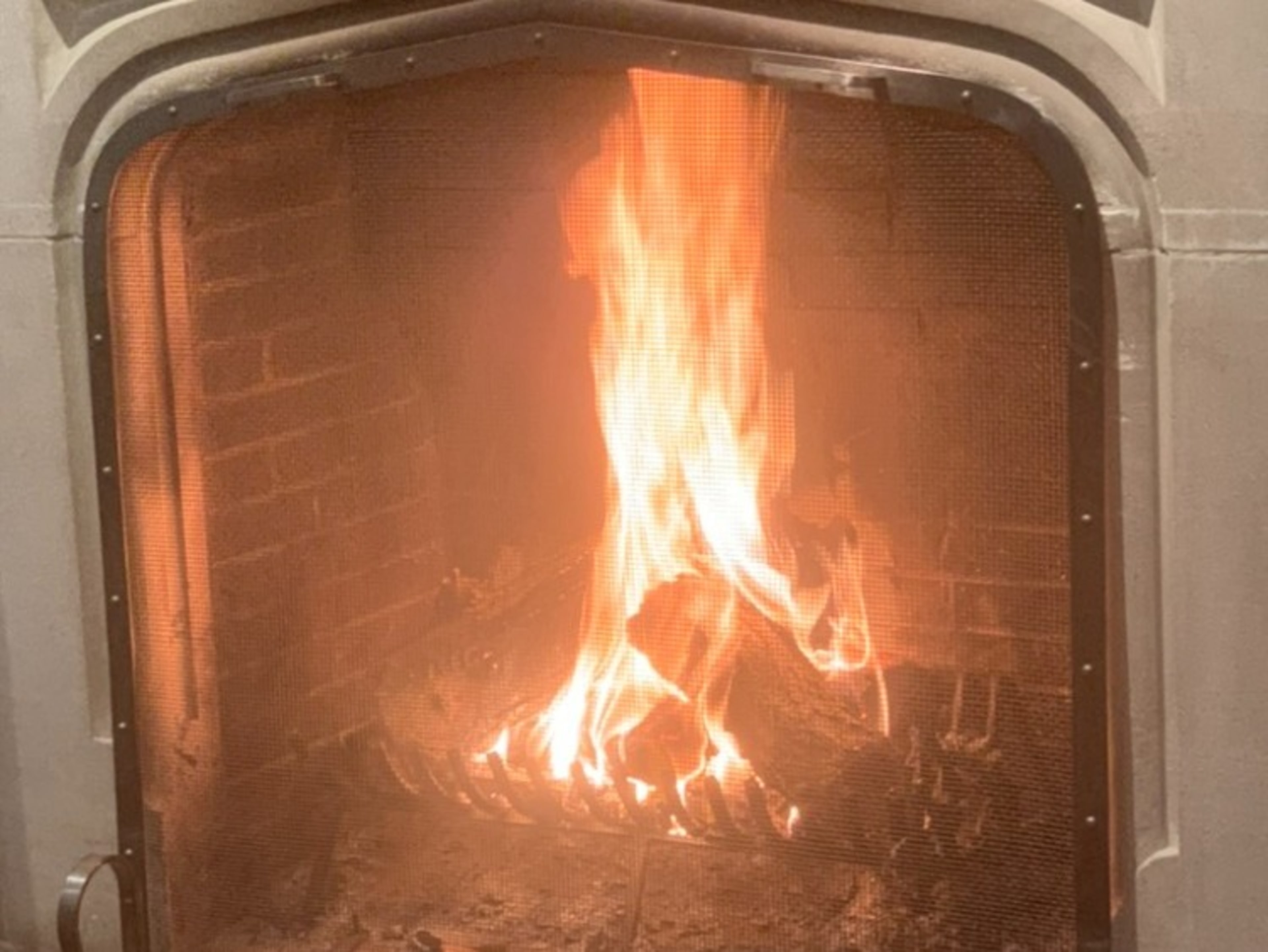 fire wood 