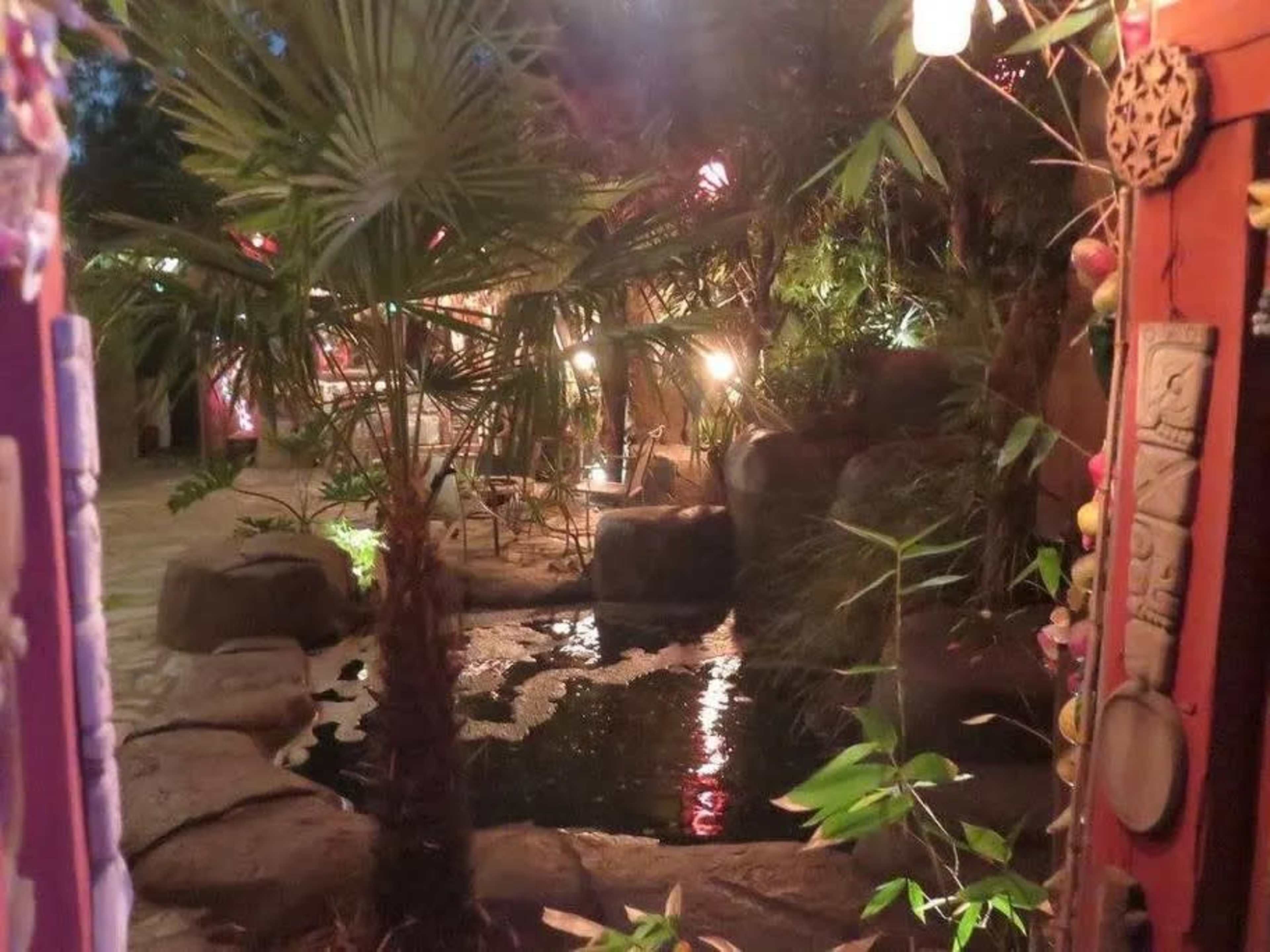 The scene shows a serene garden with a small pond surrounded by rocks and illuminated by soft lighting through tropical plants.