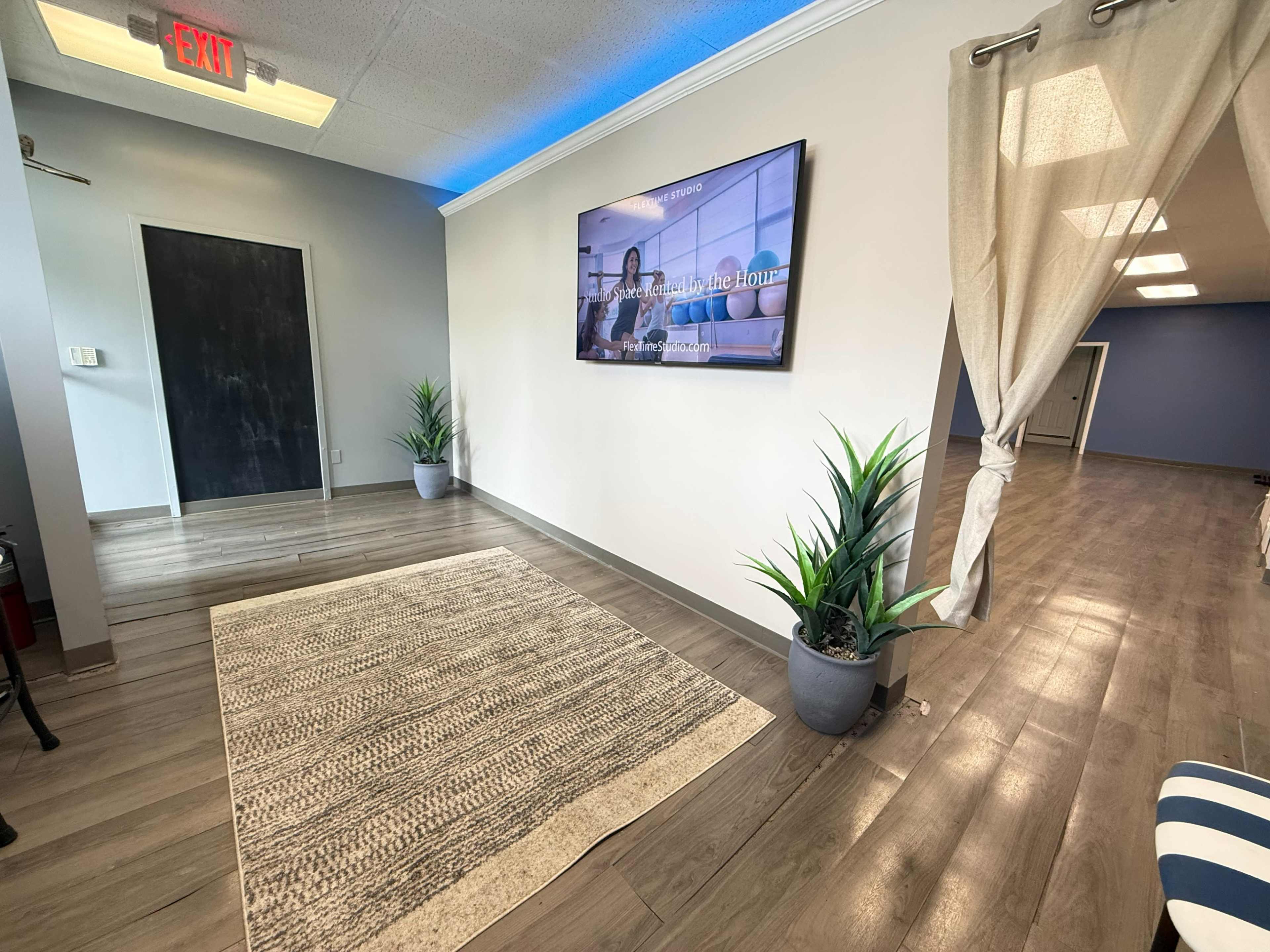 The image shows an interior space featuring a wall-mounted TV, a rug, potted plants, and an open doorway leading to another room.