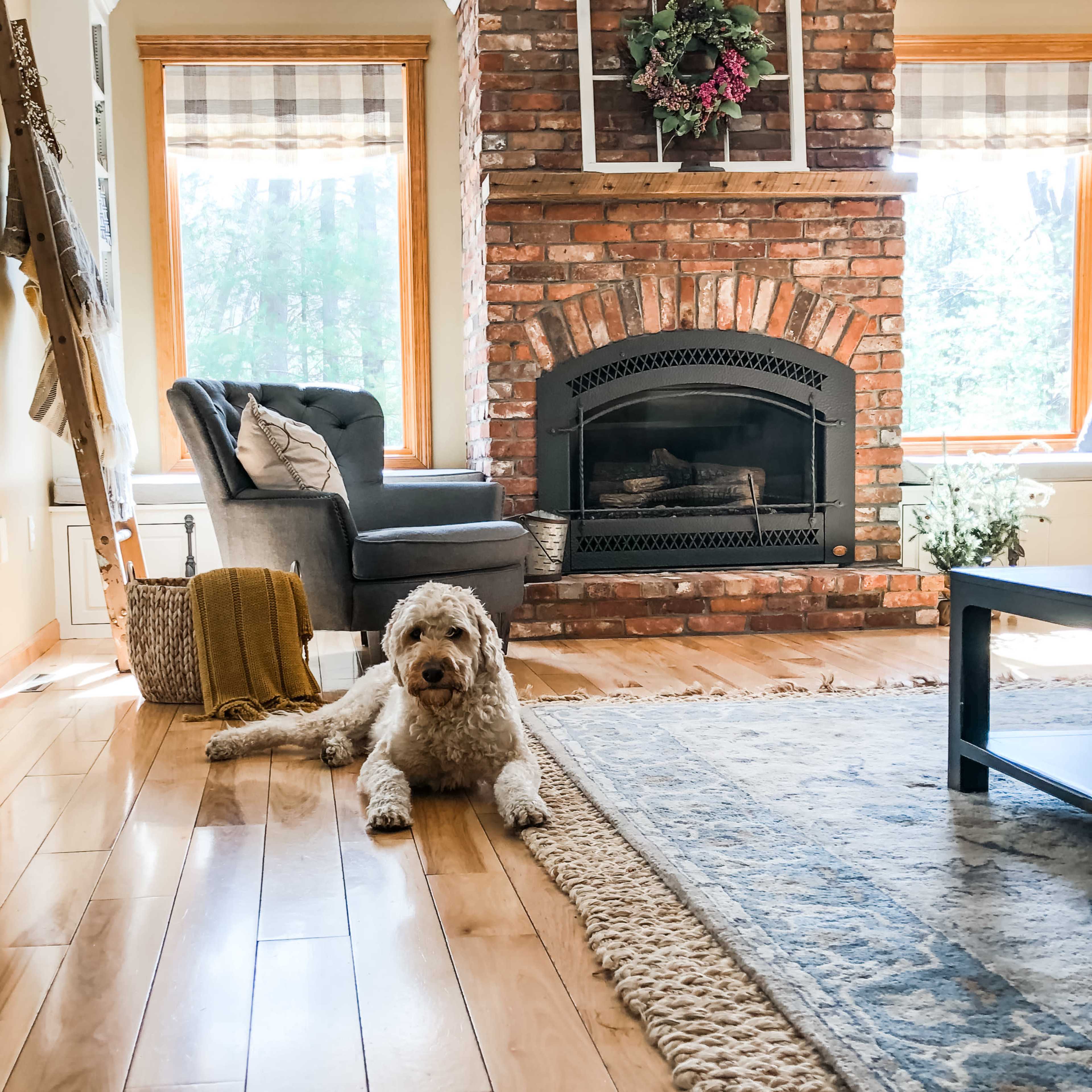 A dog lies on a wooden floor in a cozy living room featuring a brick fireplace, large windows, and a colorful area rug.