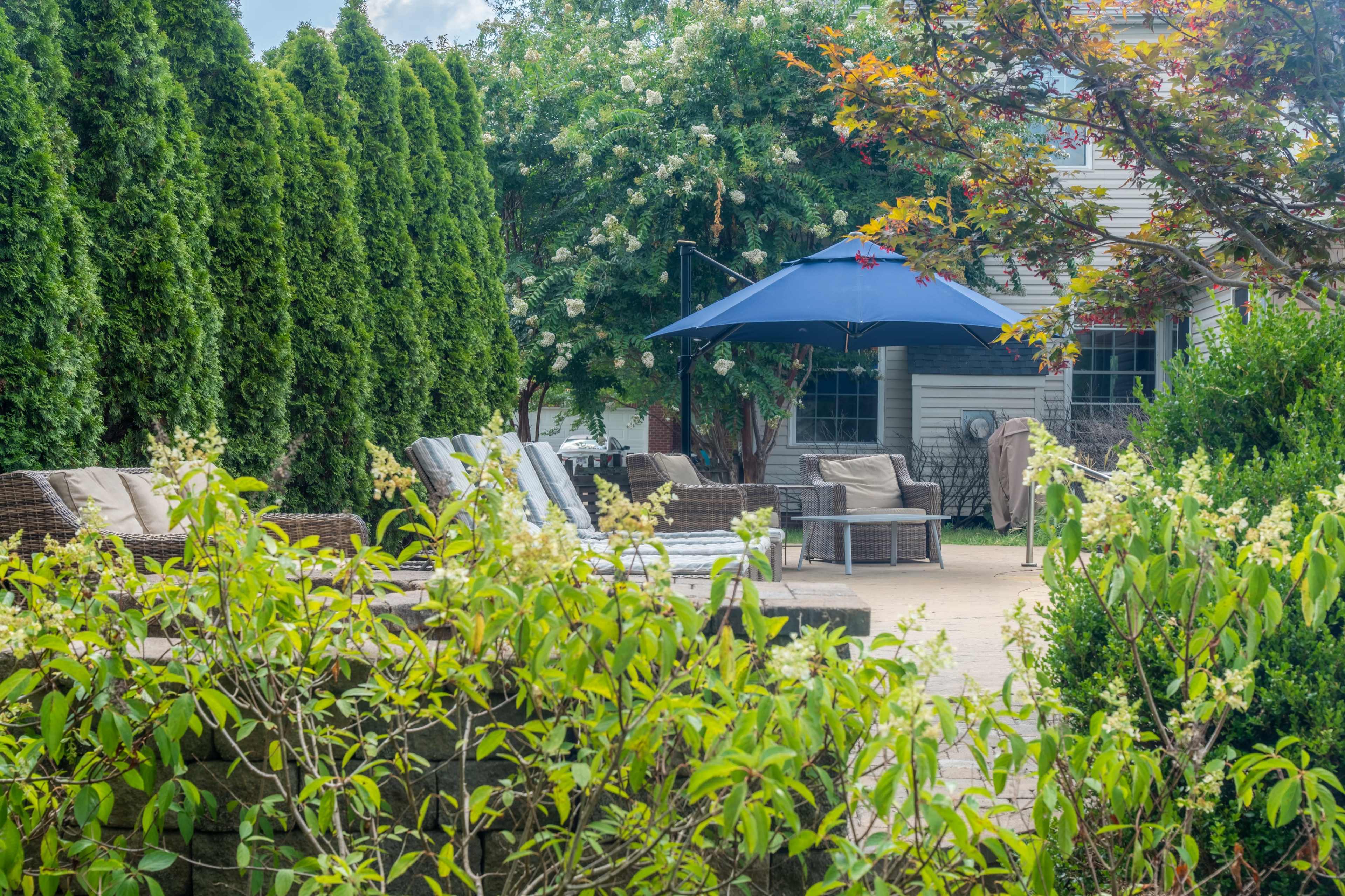 A patio area with lounge chairs and an umbrella surrounded by green shrubs and trees.