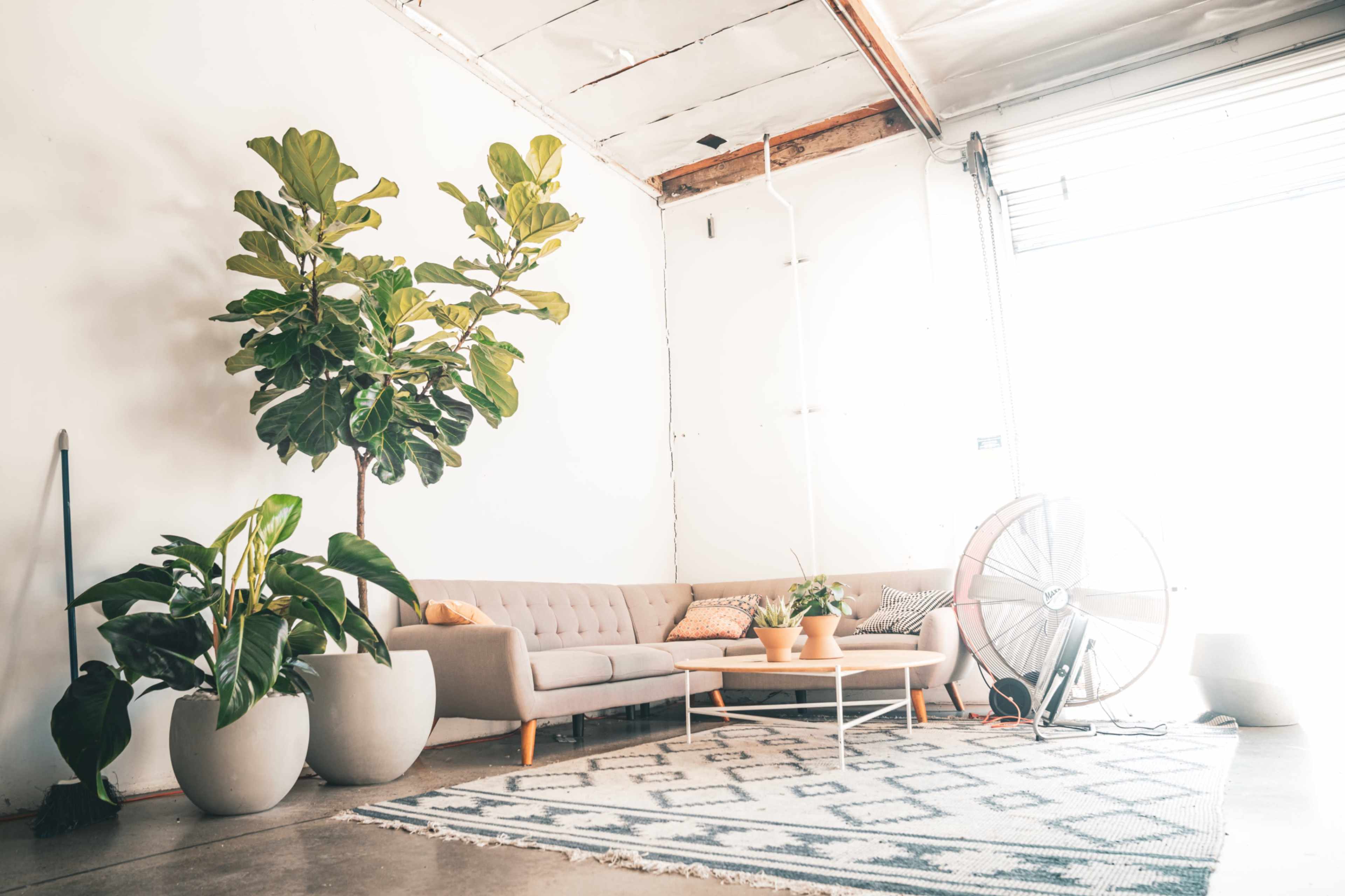 The Commune Club Image in Costa Mesa, Costa Mesa, CA