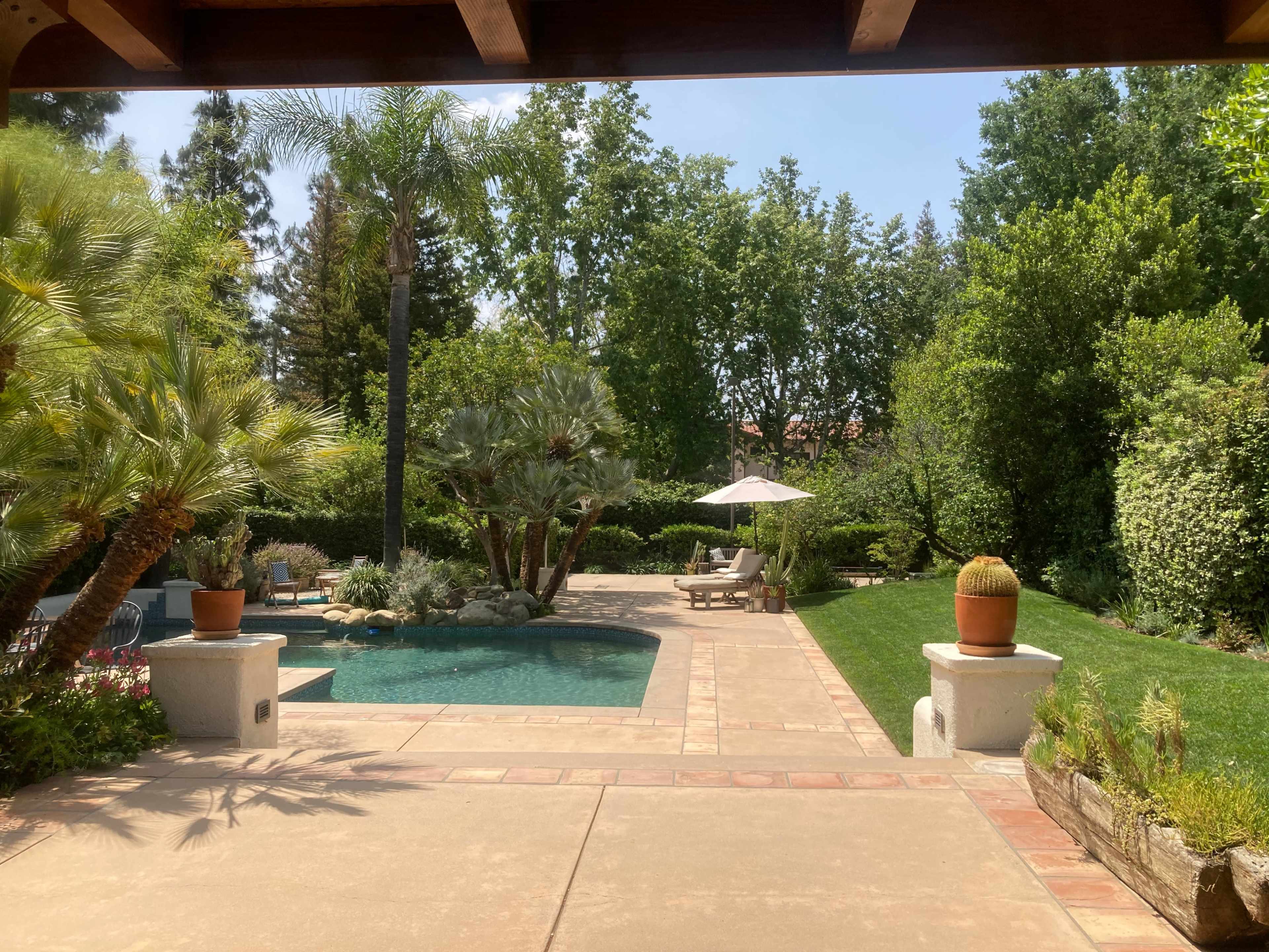 A well-landscaped backyard featuring a swimming pool, lounge chairs, a large umbrella, and various plants surrounded by trees.