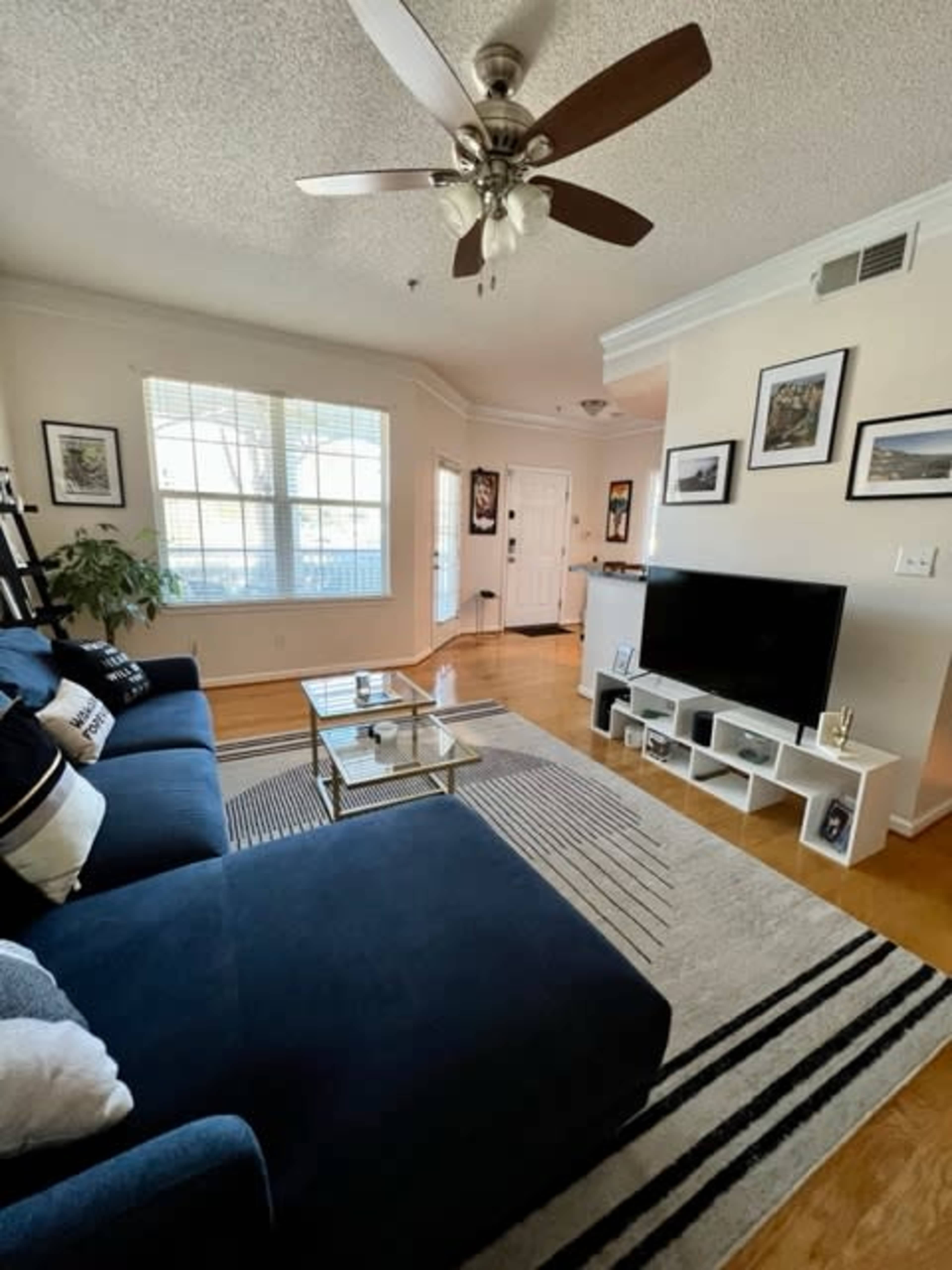 A spacious living room features a blue couch, a coffee table, and a television on a white stand, with large windows allowing natural light.