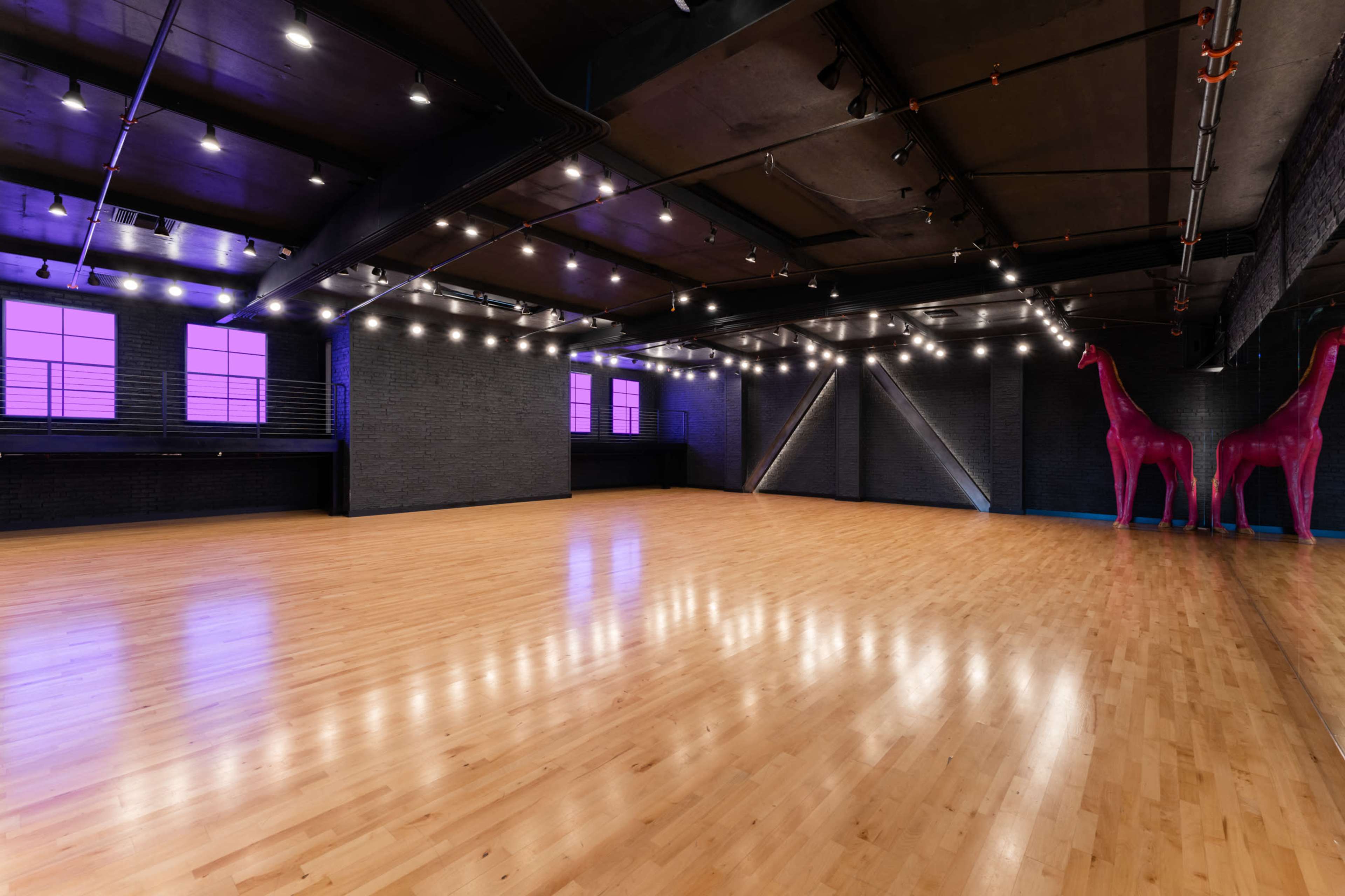 A spacious dance studio with polished wooden floors, black walls, and large purple windows, along with two pink giraffe sculptures in the corner.