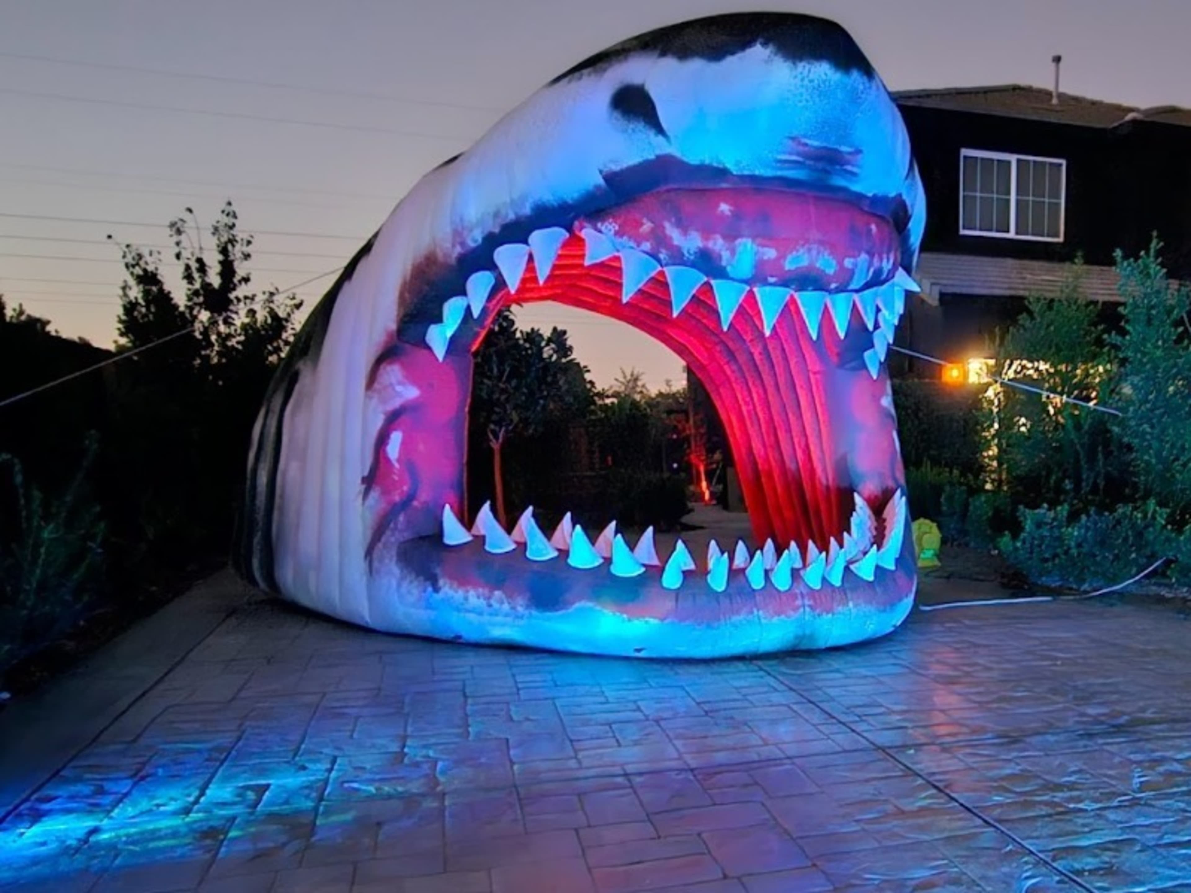 Inflatable shark