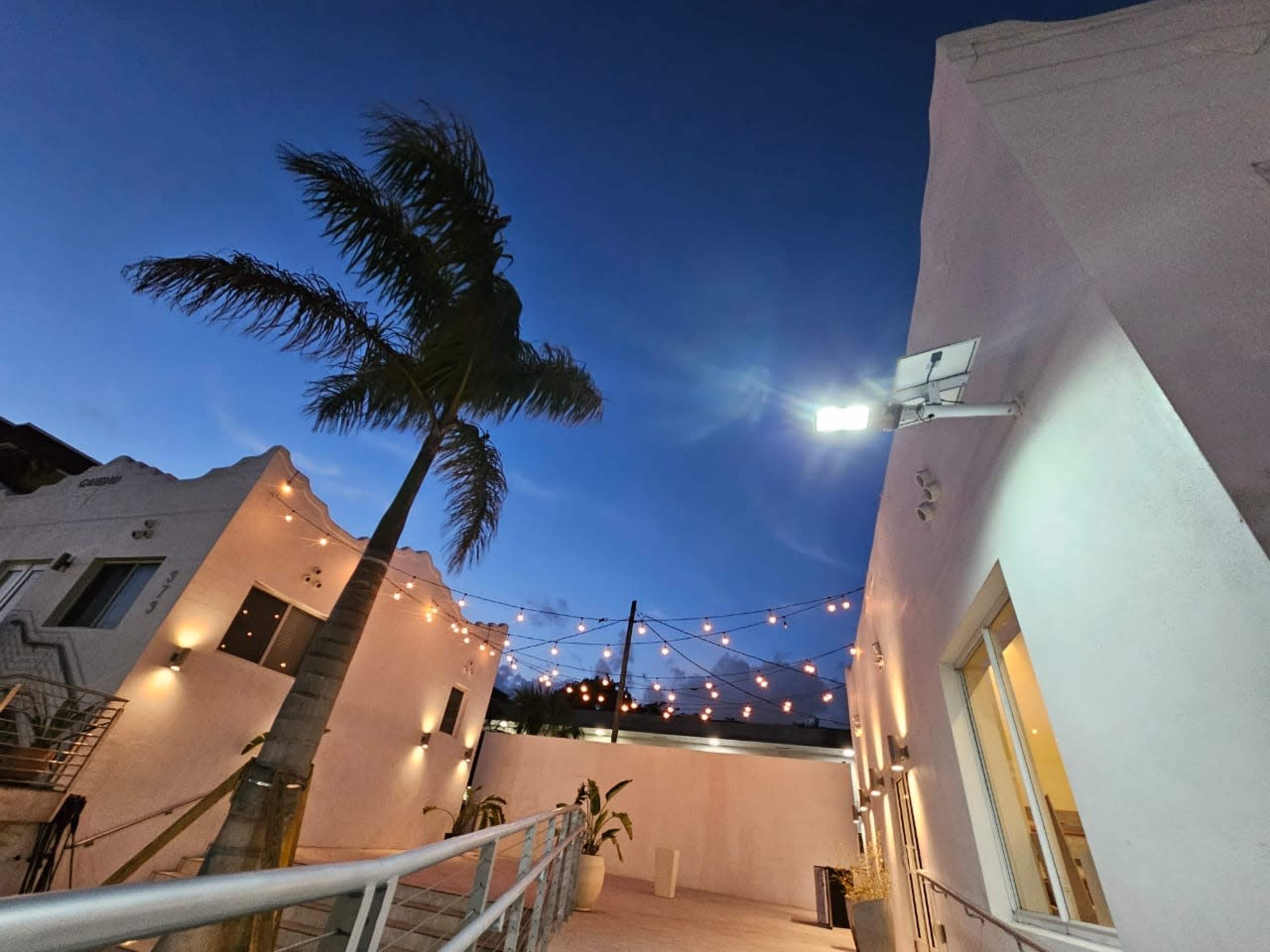 A palm tree rises alongside white buildings under a twilight sky, with string lights illuminating the courtyard area.