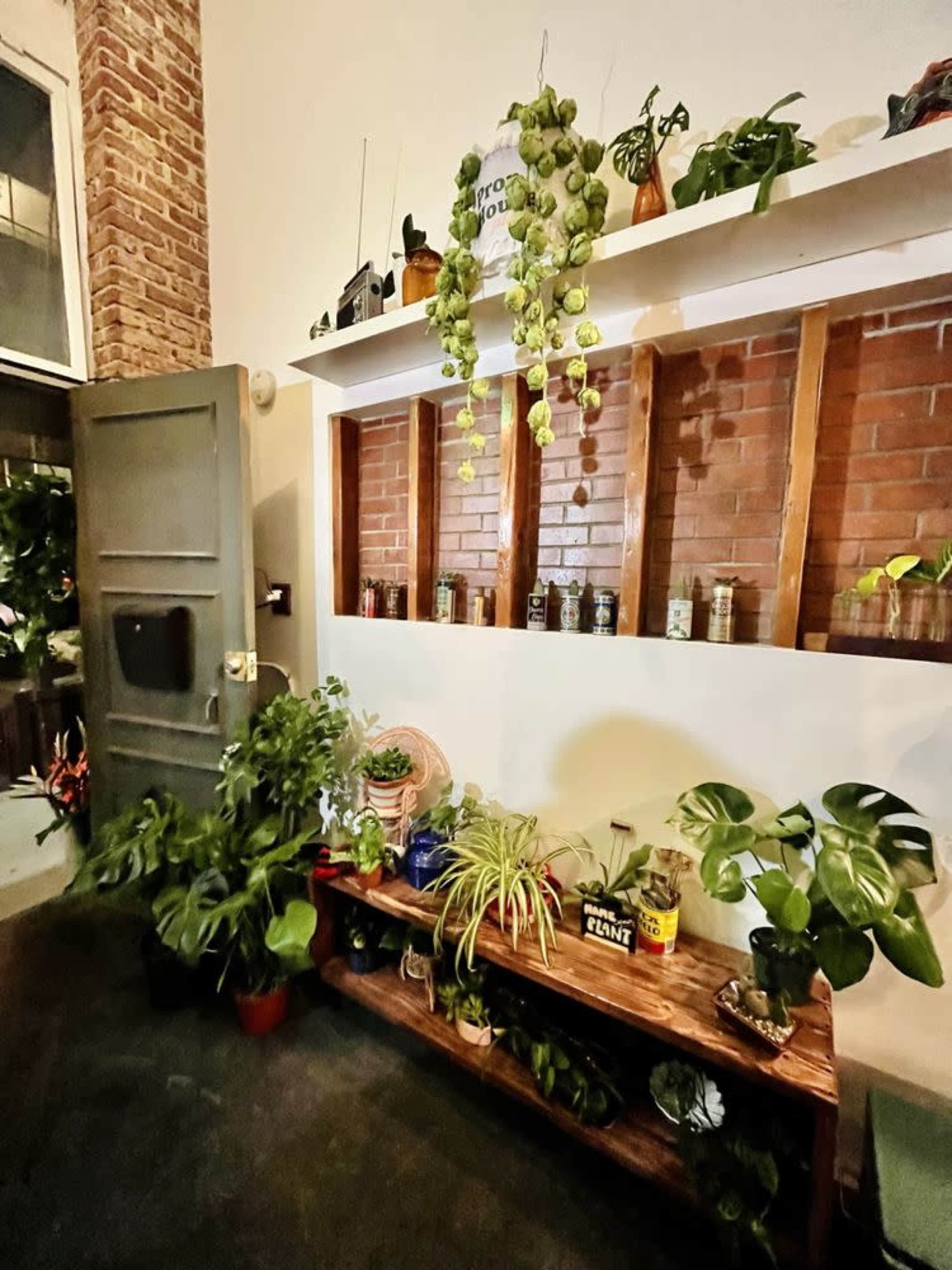 The image shows a cozy indoor space featuring a wooden shelf adorned with various plants and jars, against a backdrop of exposed brick walls and an open door.
