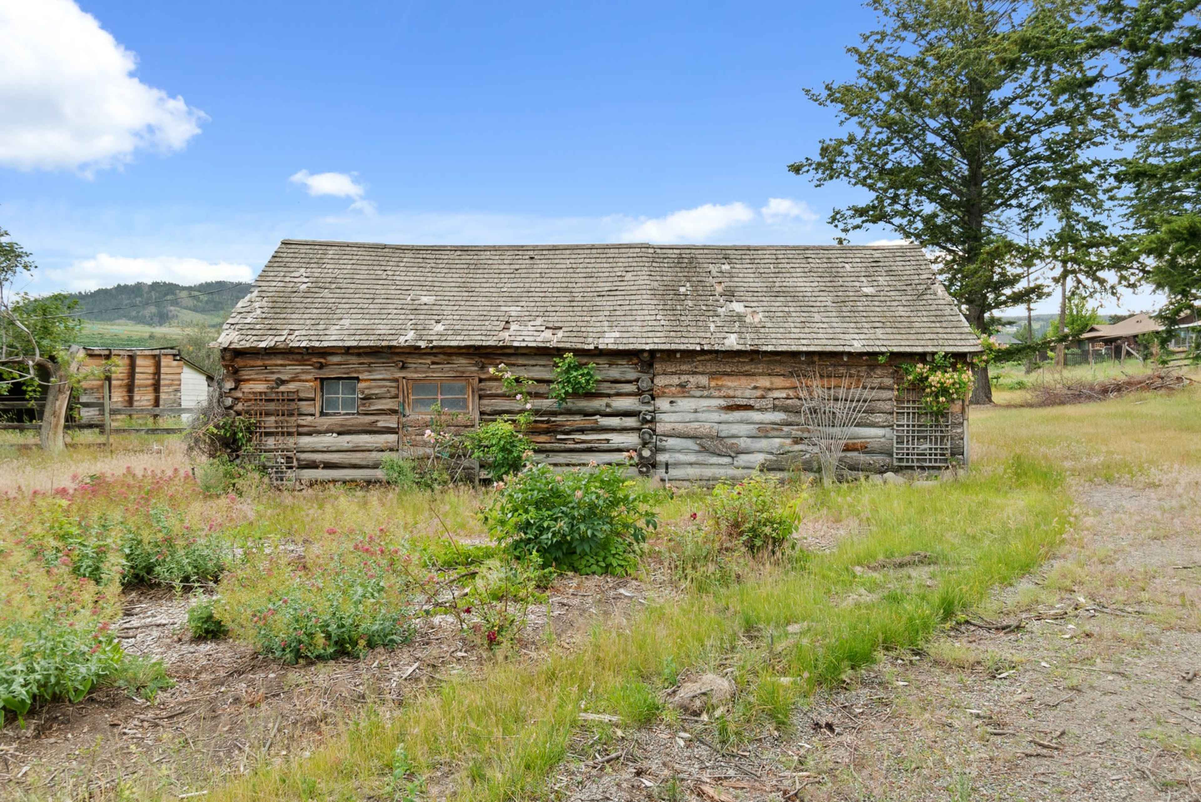 A weathered log cabin surrounded by overgrown grass and wildflowers on a sunny day.