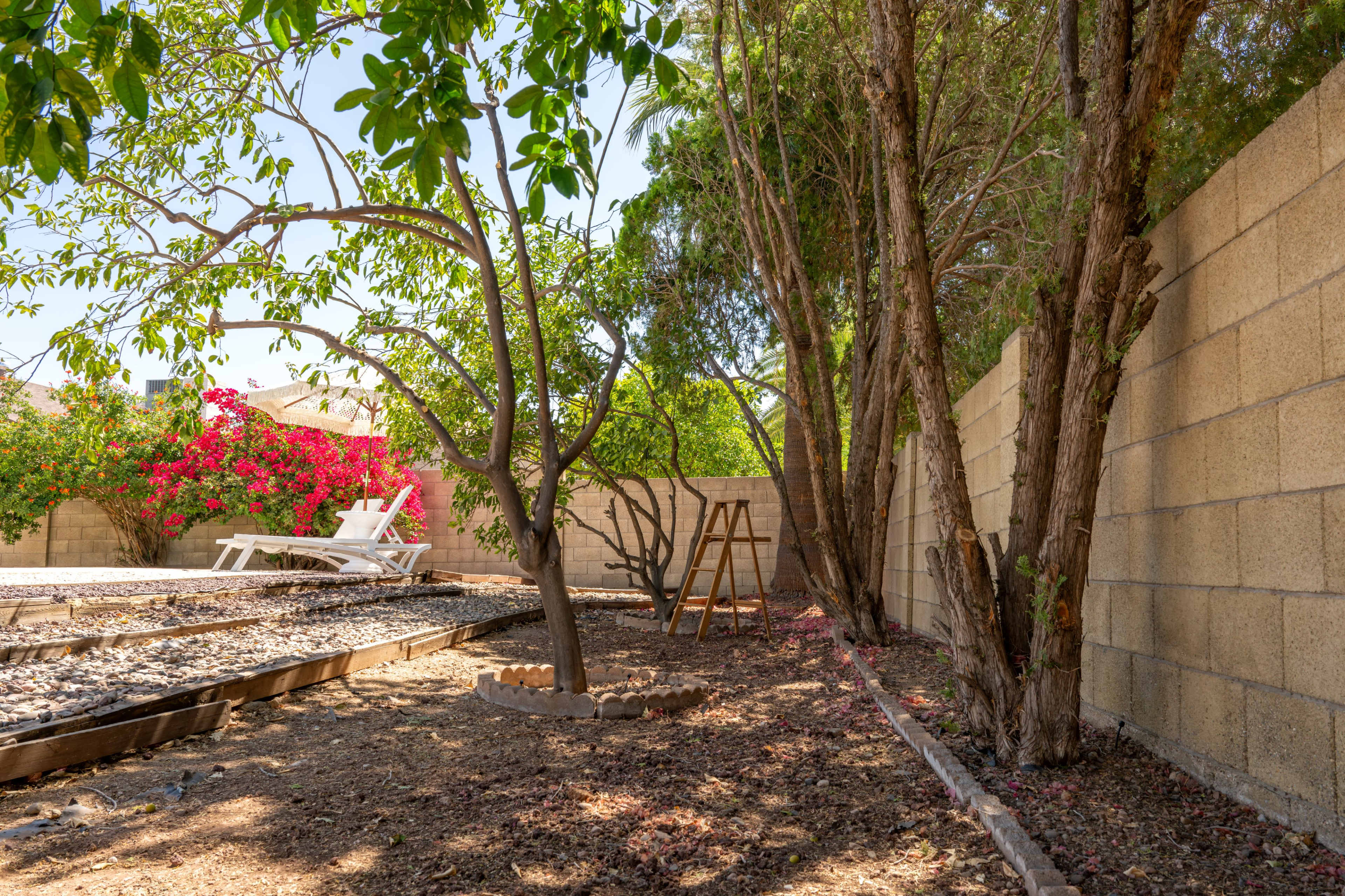 The image shows a backyard with a gravel area, a white lounge chair, a wooden play structure, and several trees along a beige cinder block wall.