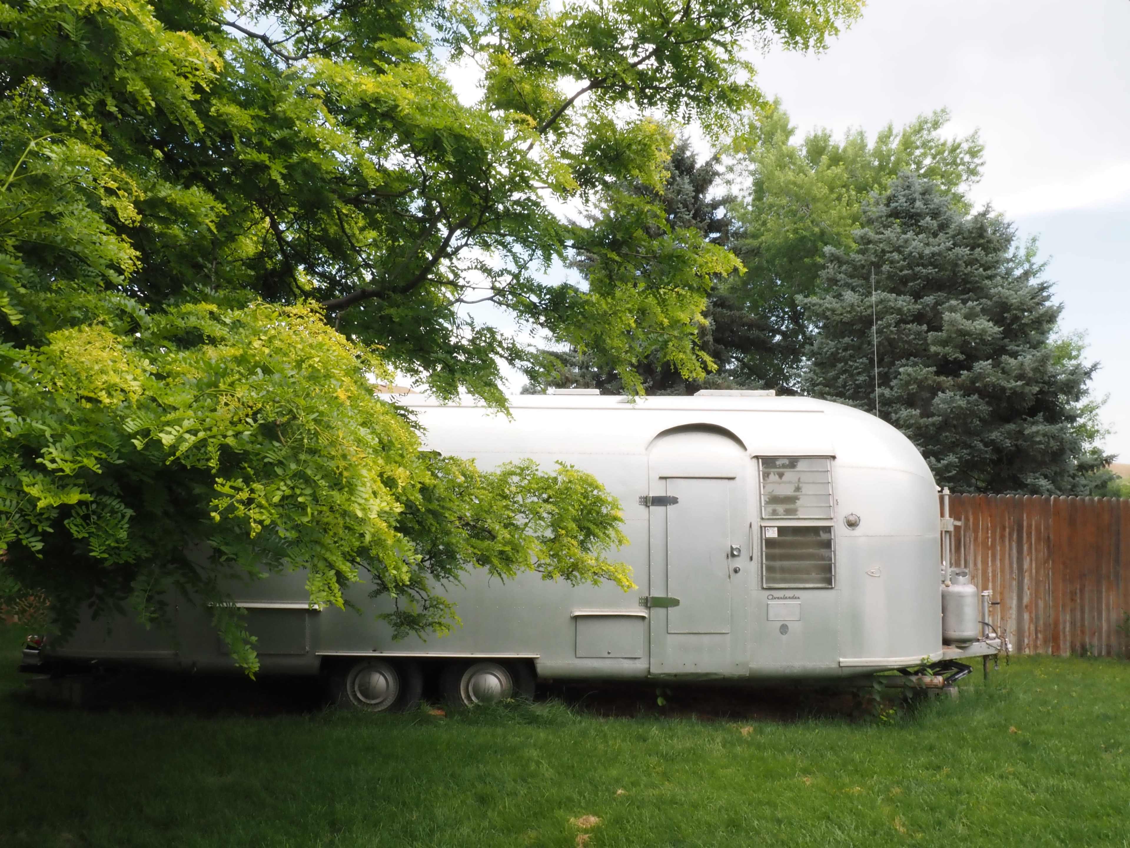 An Airstream trailer is parked in a grassy yard surrounded by trees and a wooden fence.