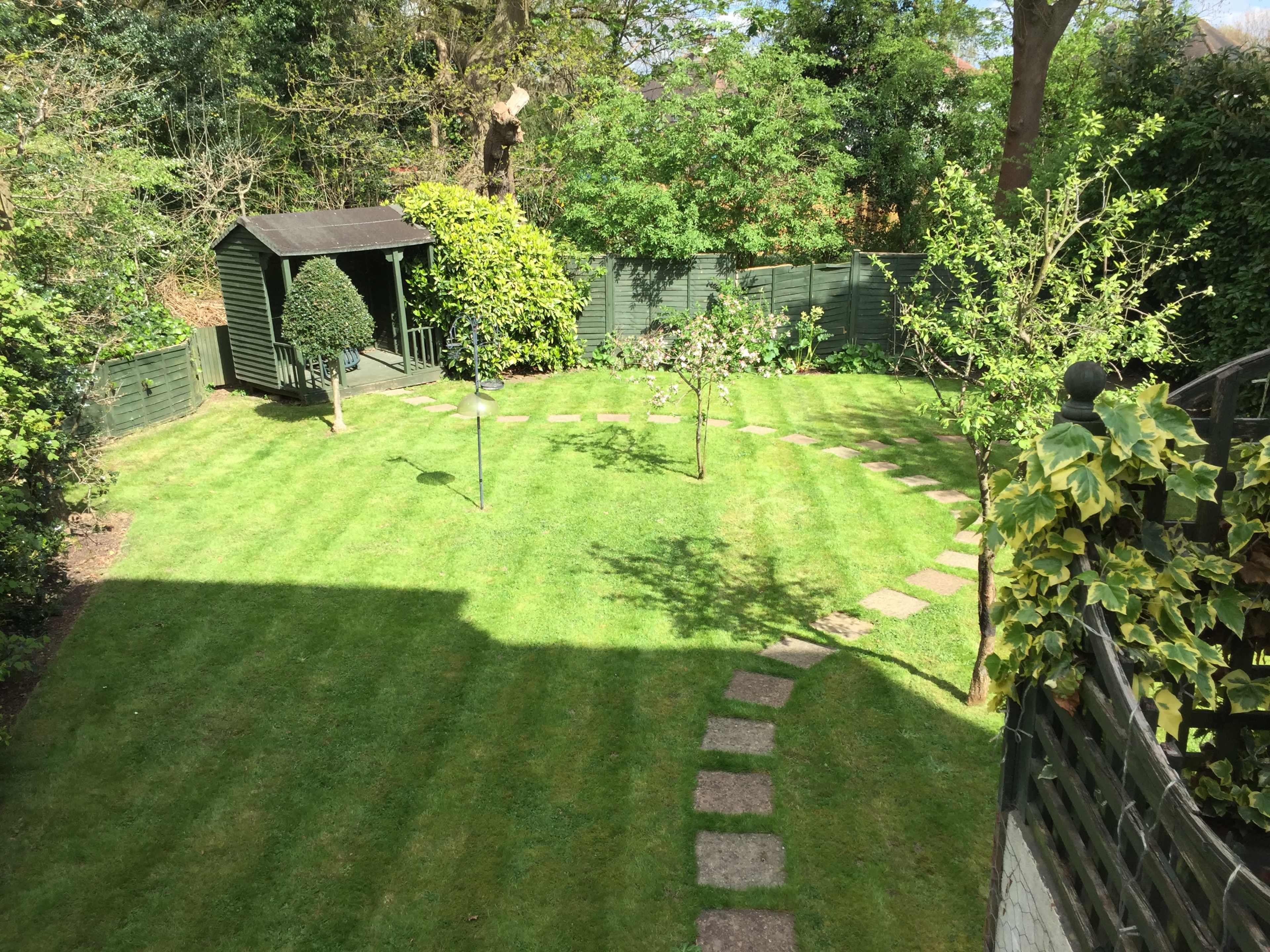 A well-maintained garden with a gravel path, two small trees, and a wooden shed surrounded by neatly trimmed grass.
