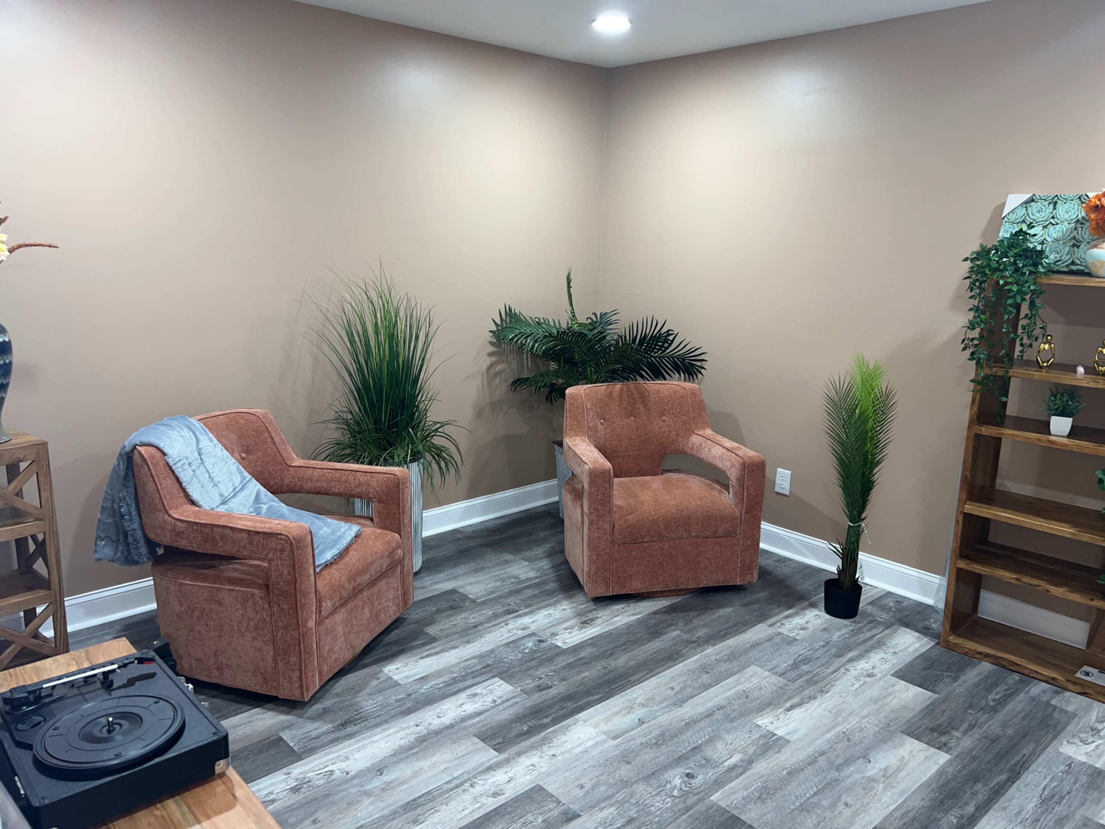 A cozy room featuring two upholstered chairs, a small plant beside each chair, and a wooden shelf against the wall, with a record player on a table.