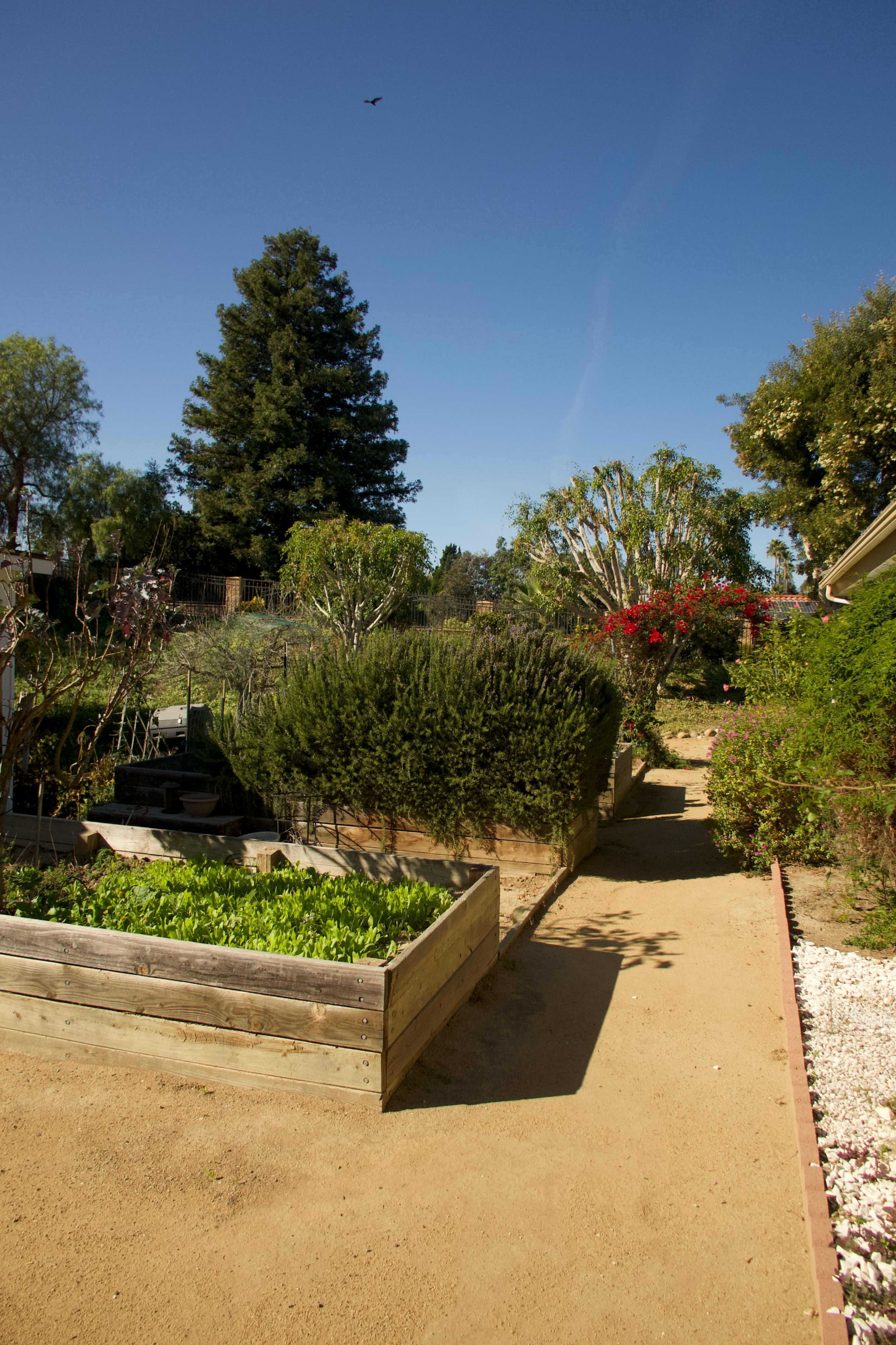 Secret Garden Pool Oasis Image in Camarillo, Camarillo, CA