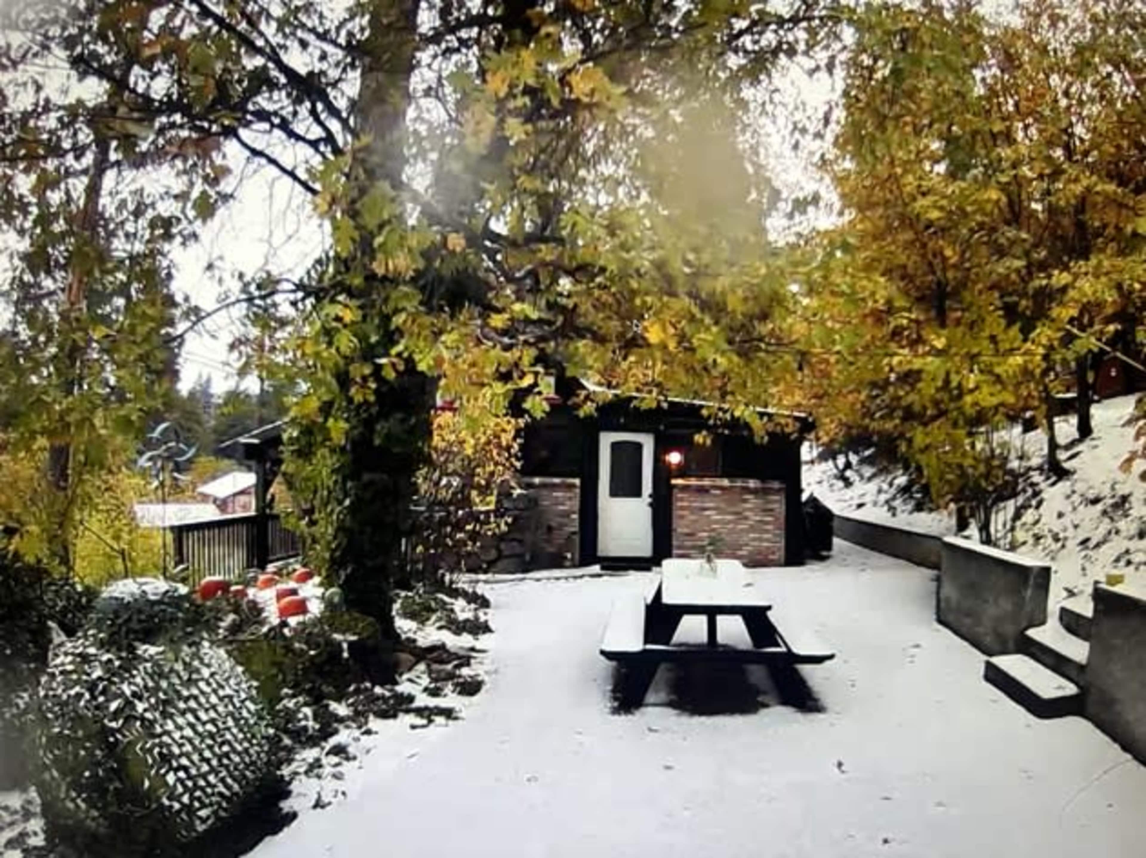 Magical Mountain Vintage Cabin Image in Running Springs, Running Springs, CA