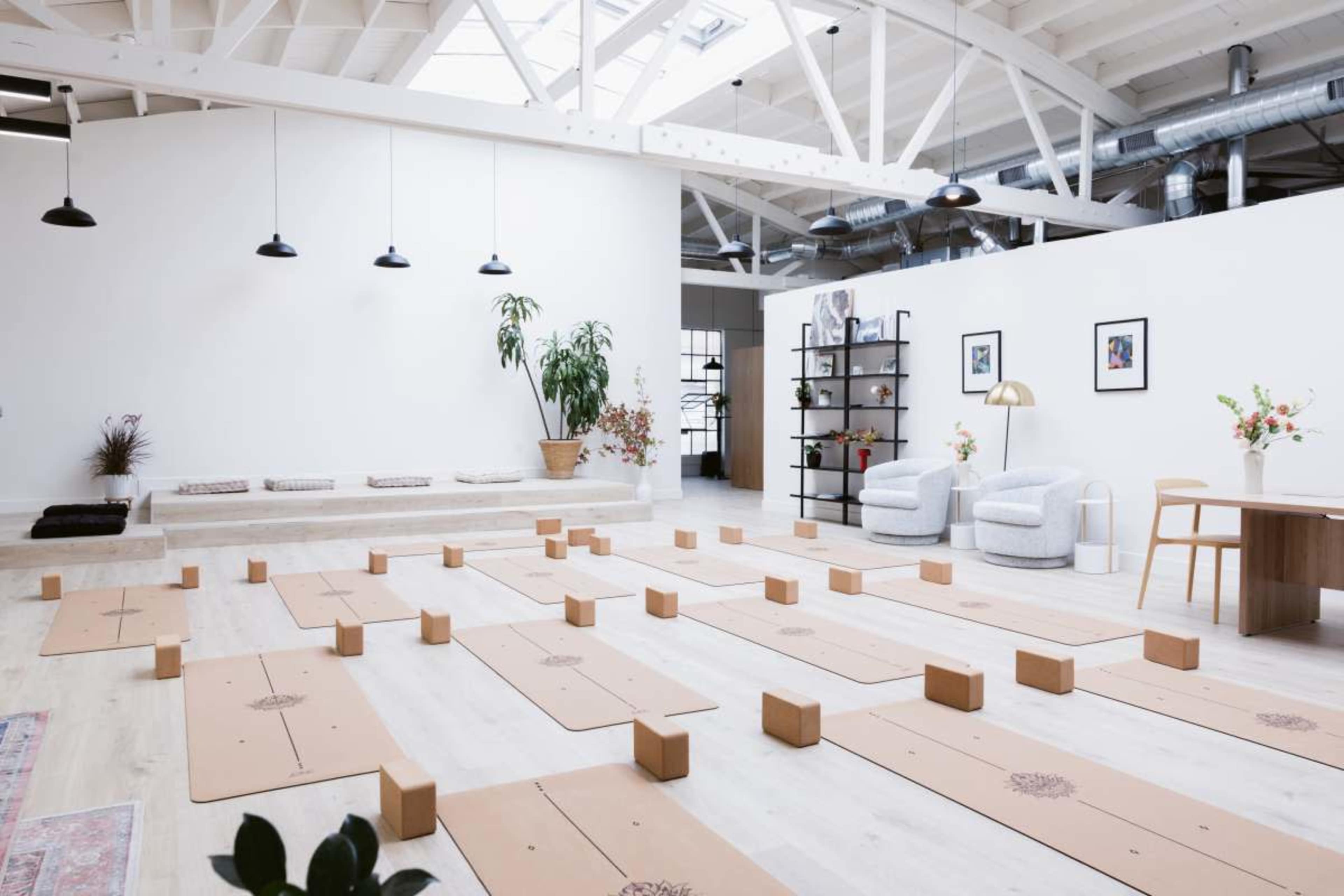The image shows a spacious yoga studio featuring multiple wooden mats arranged neatly on the floor, surrounded by plants, shelves, and minimalist furniture.
