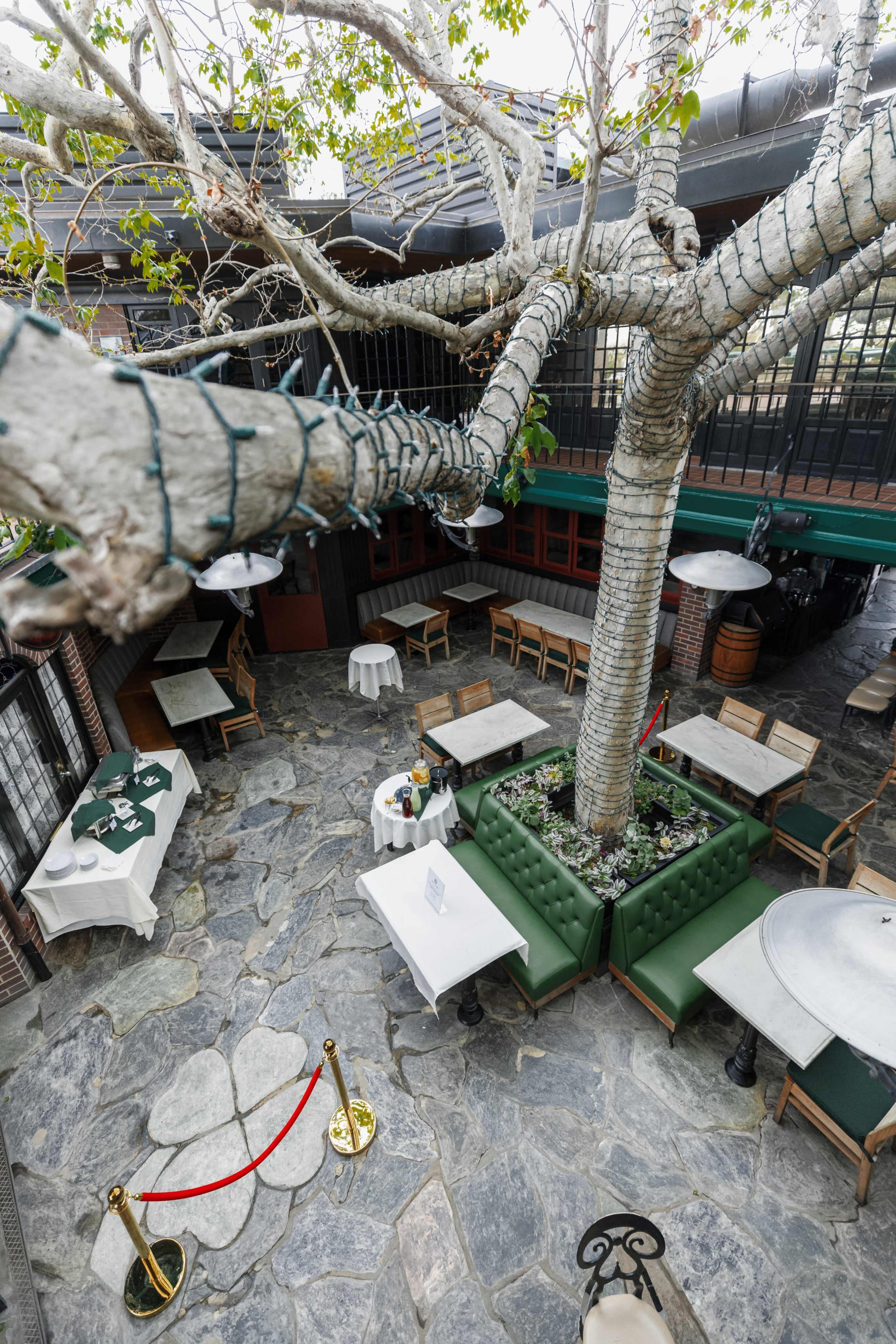 The image shows a restaurant interior featuring stone flooring, green seating, and a large tree at the center, surrounded by tables.