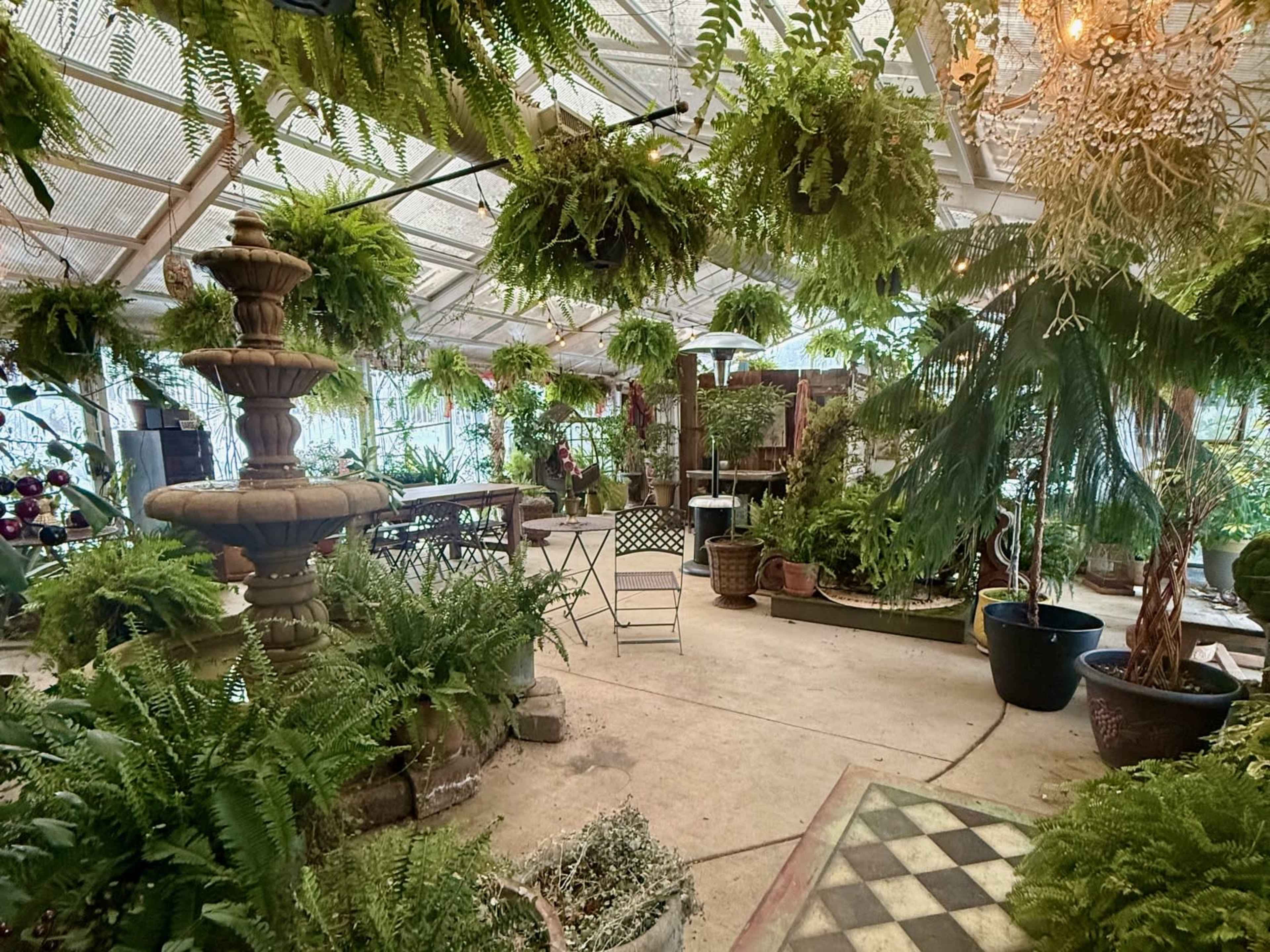 The image shows a greenhouse filled with various potted plants and ferns, featuring a central stone fountain and decorative seating areas.