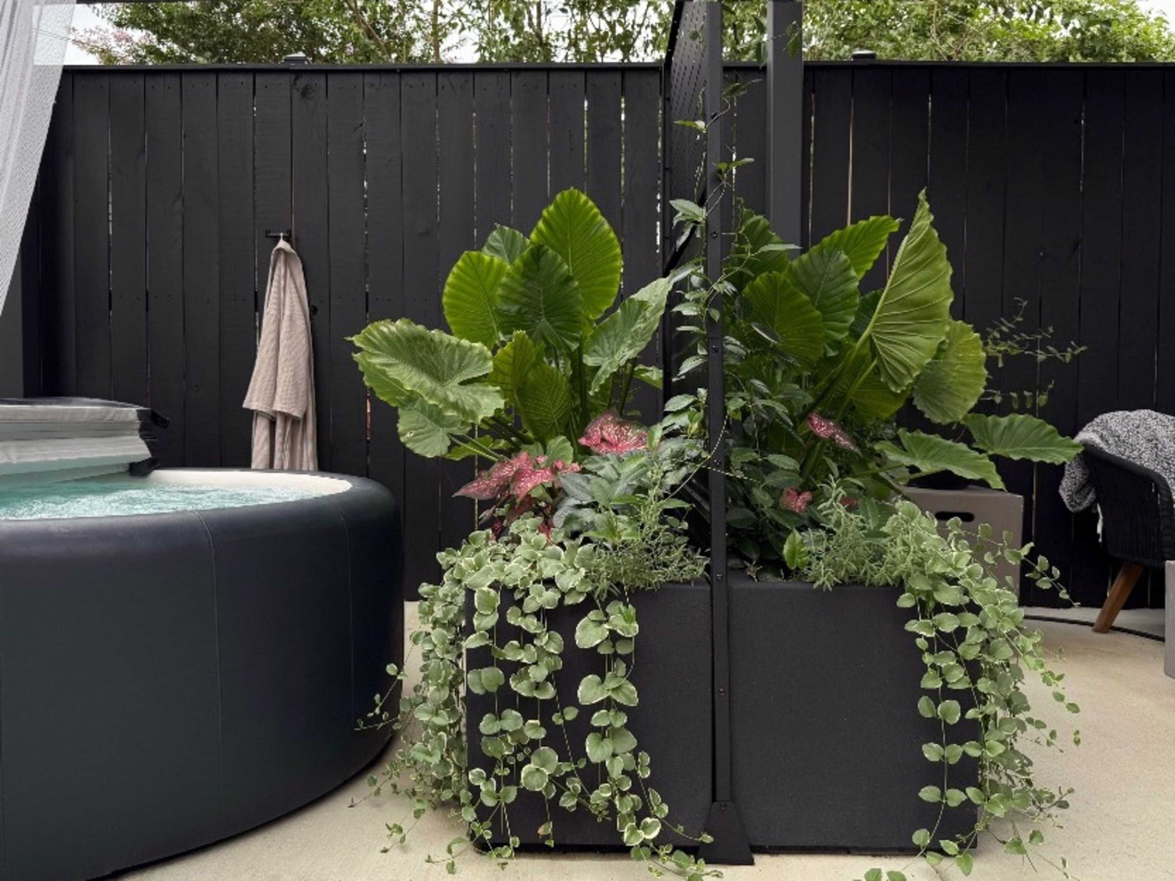 Year-Round Outdoor Oasis