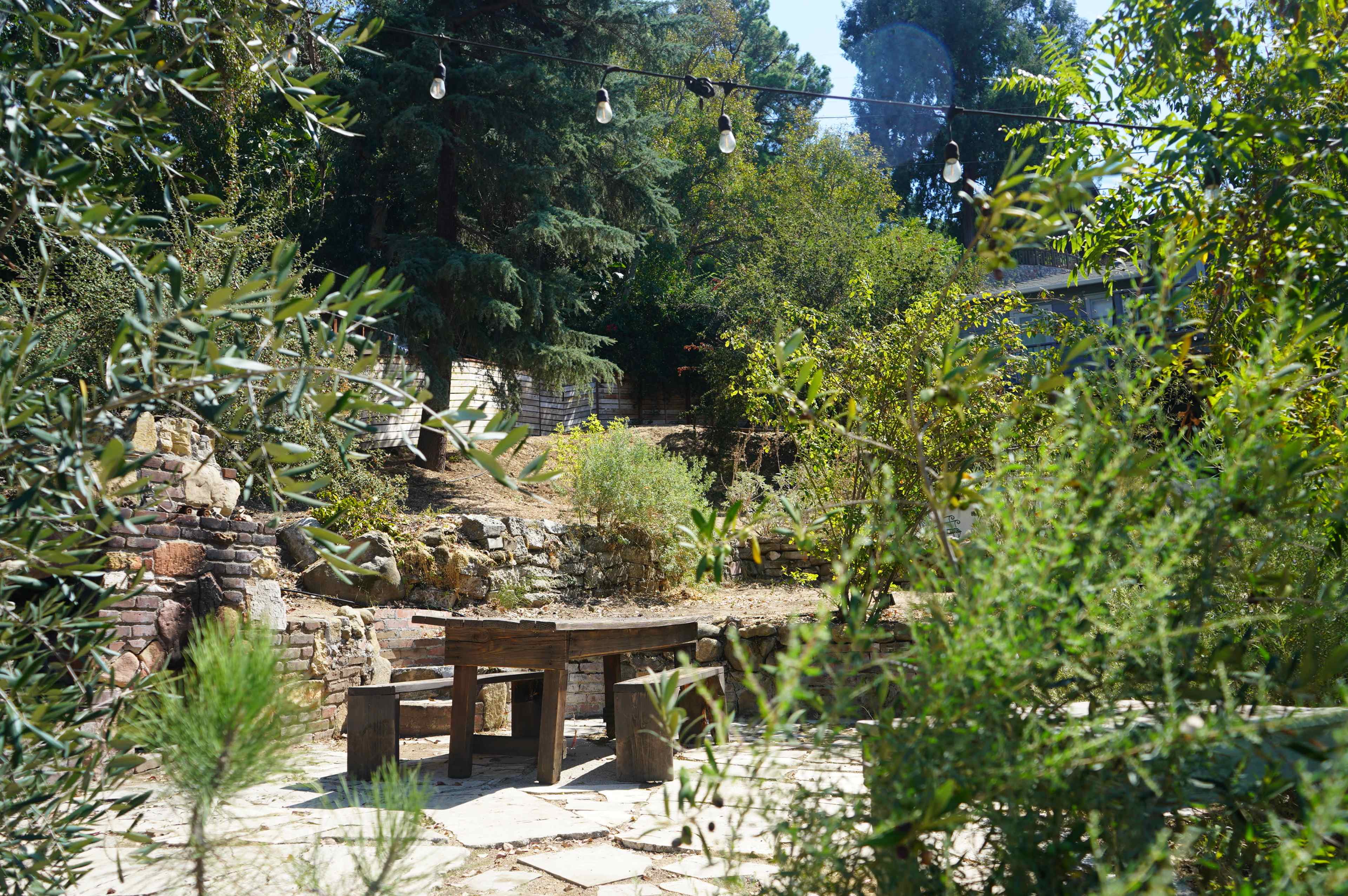 A rustic wooden table surrounded by greenery in a garden setting.