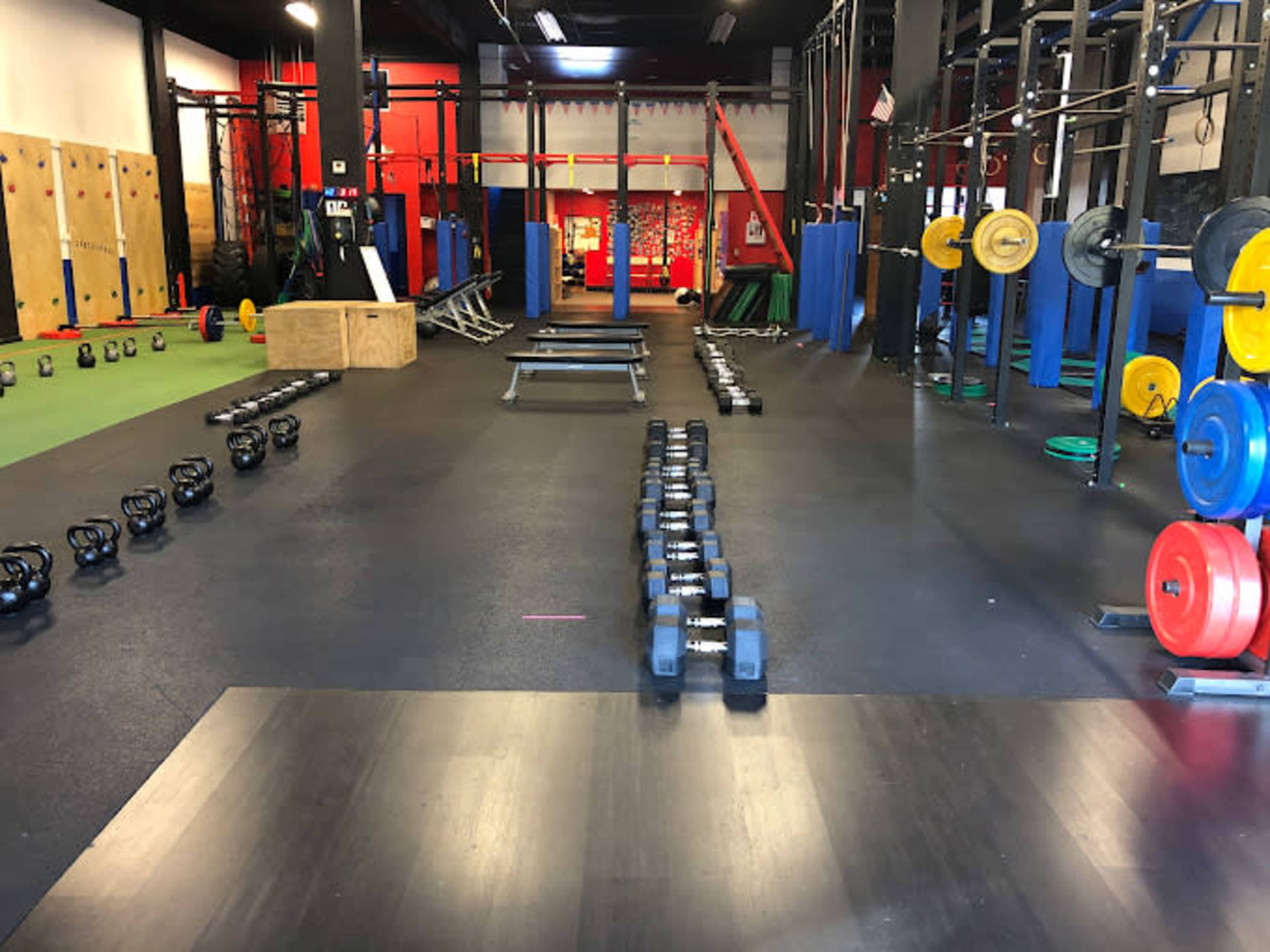 The image shows a gym interior with various exercise equipment, including dumbbells, kettlebells, and weightlifting bars arranged neatly on the floor.