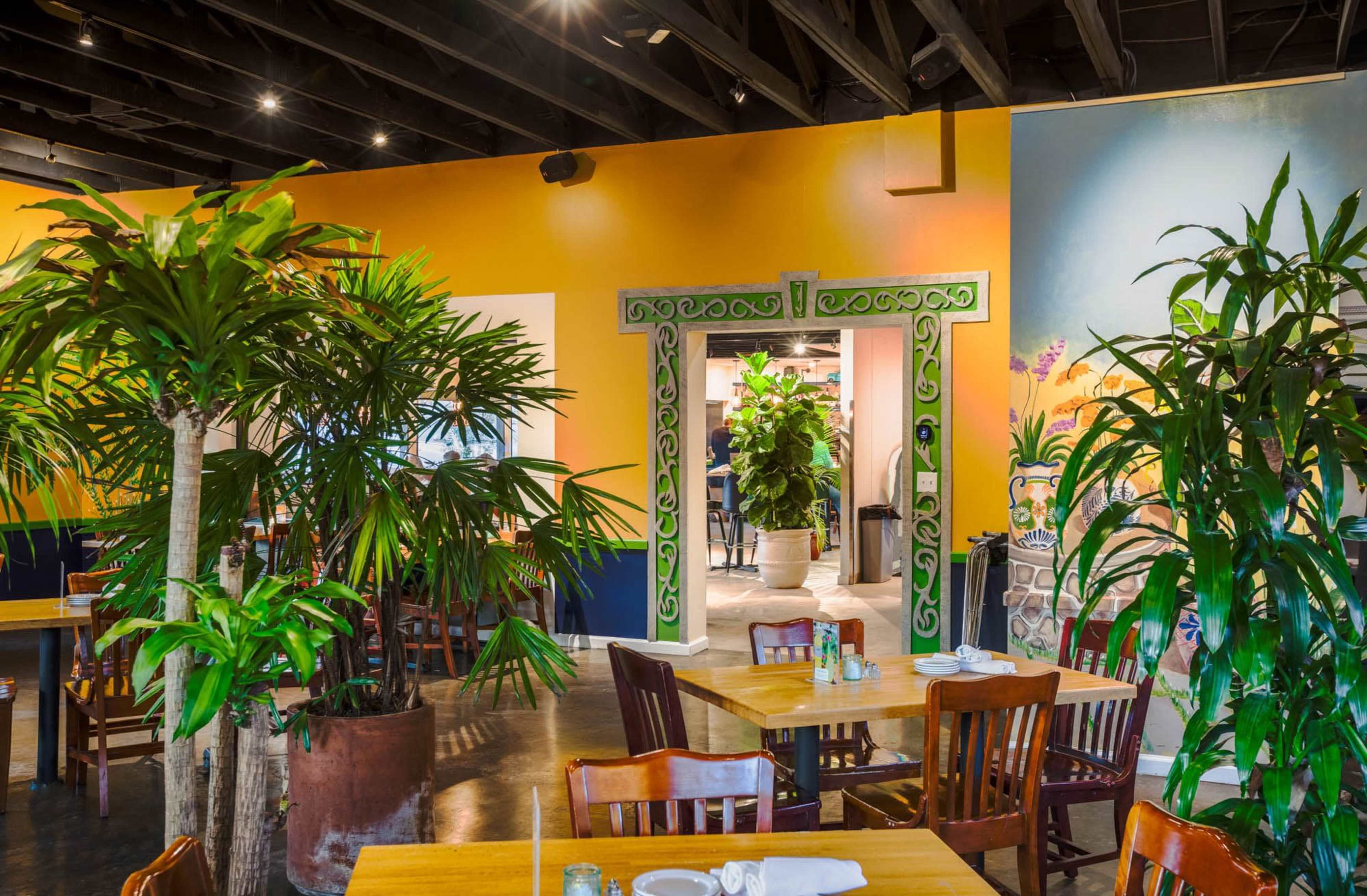 Central Private Dinning with Fun Latin Vibes Image in Hancock, Austin, TX