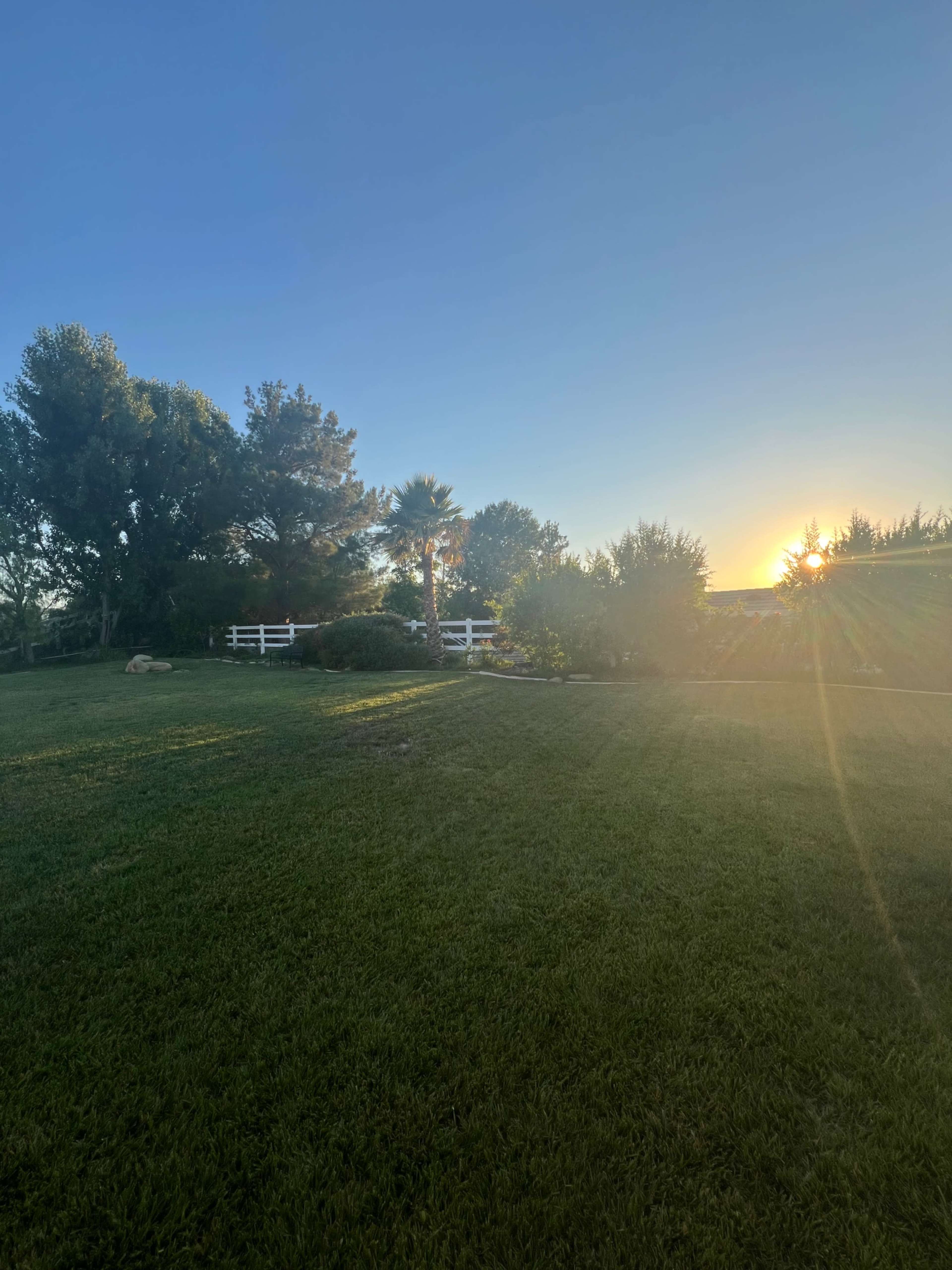 The image shows a grassy landscape with trees and a fence under a clear sky, illuminated by the morning sun.