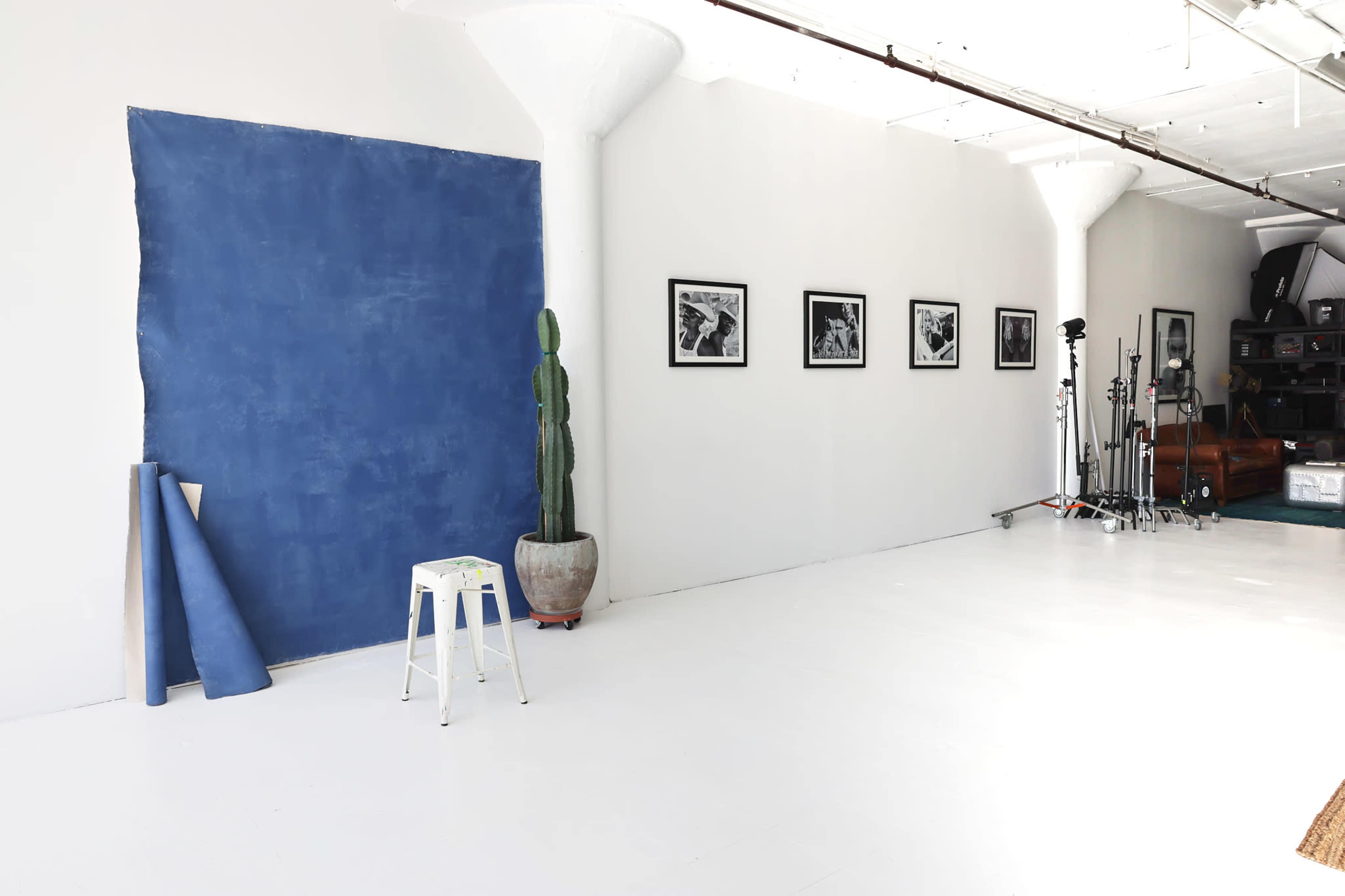 The image shows a minimalist studio space with a blue wall, a cactus in a pot, black-and-white framed photos, and various studio equipment against a white backdrop.