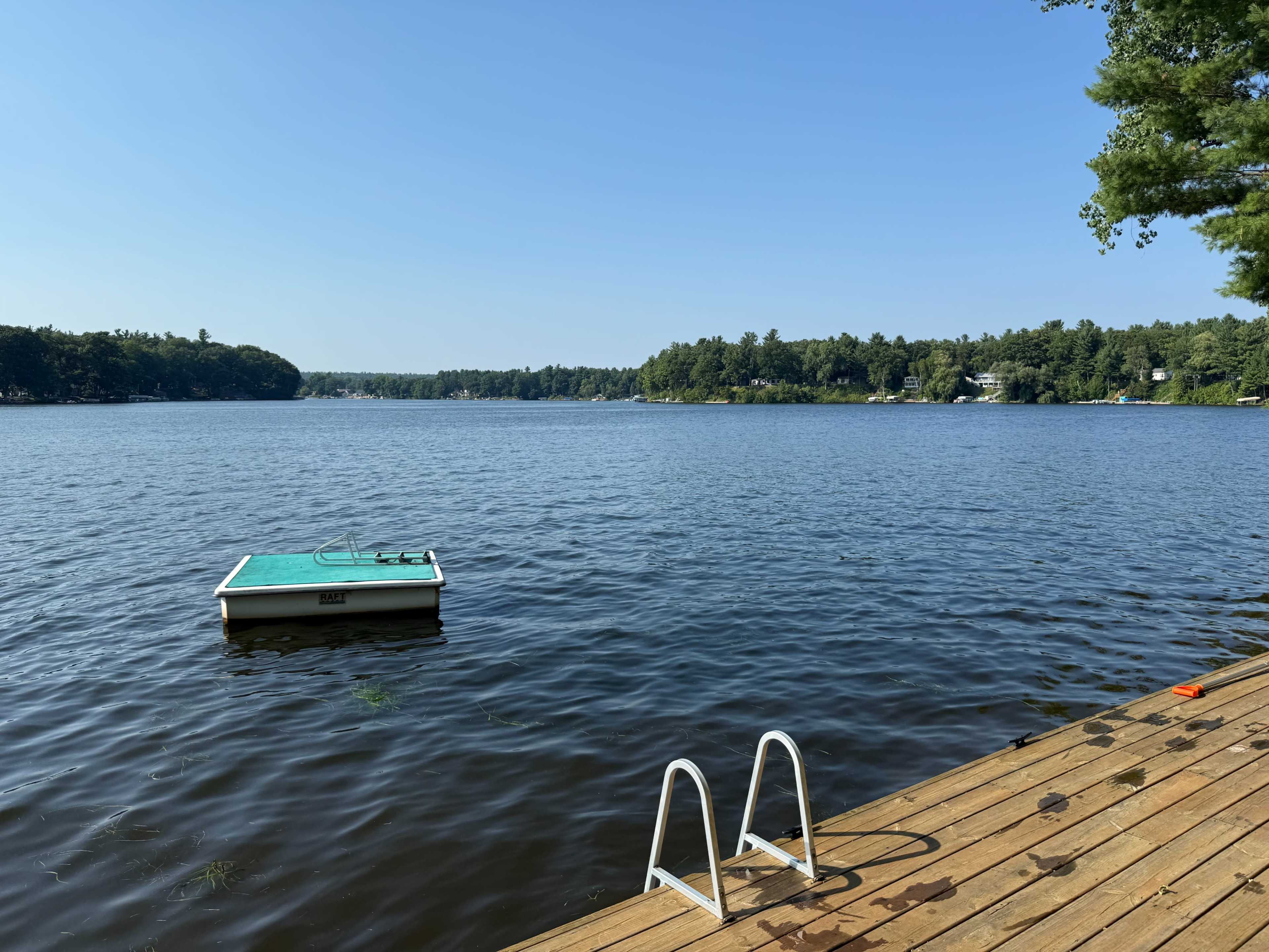 A swim dock floats in a lake, with a wooden deck leading to a ladder on the shore.