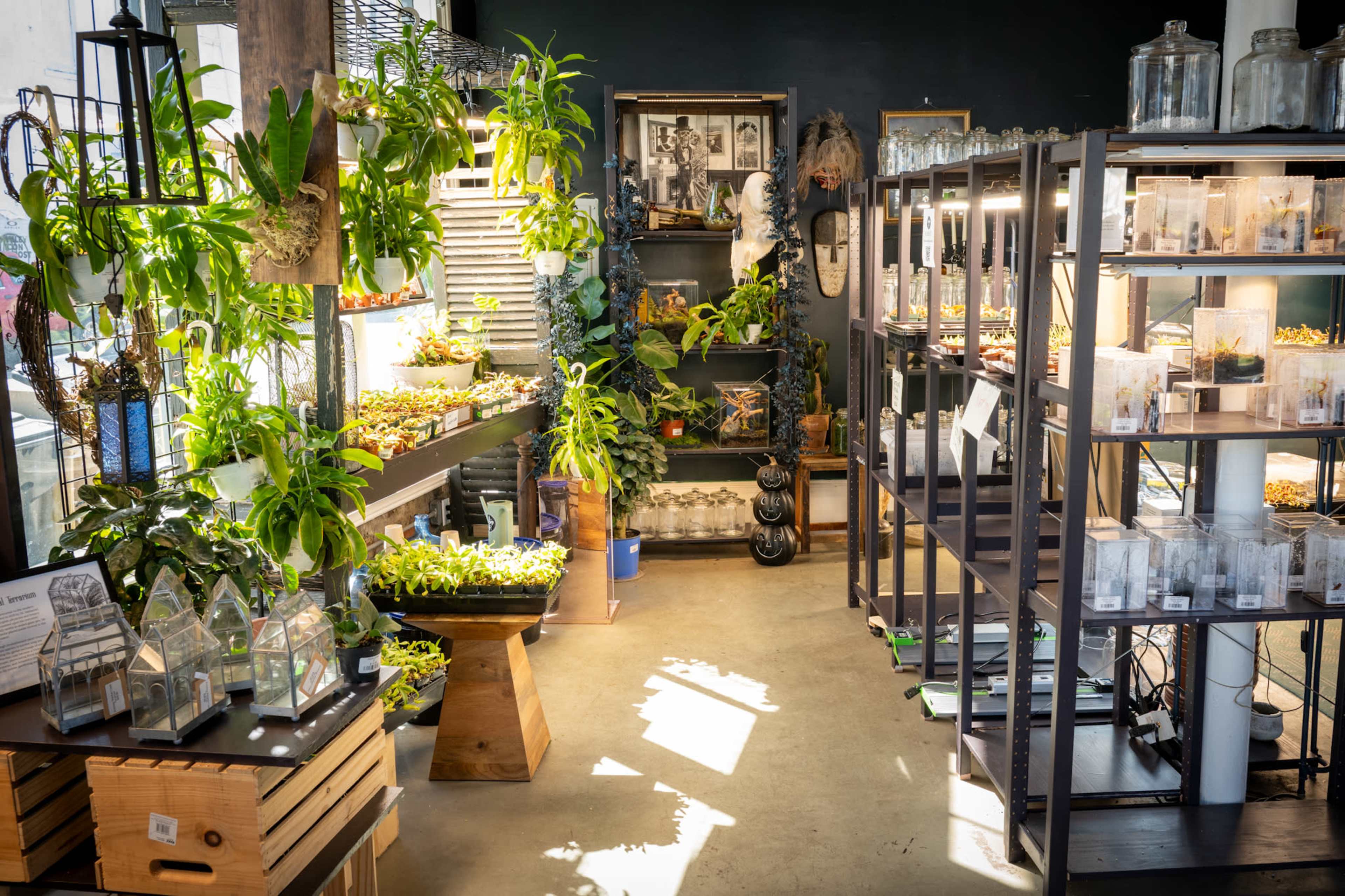 A Space That Feels Alive—Literally Image in Marigny, New Orleans, LA