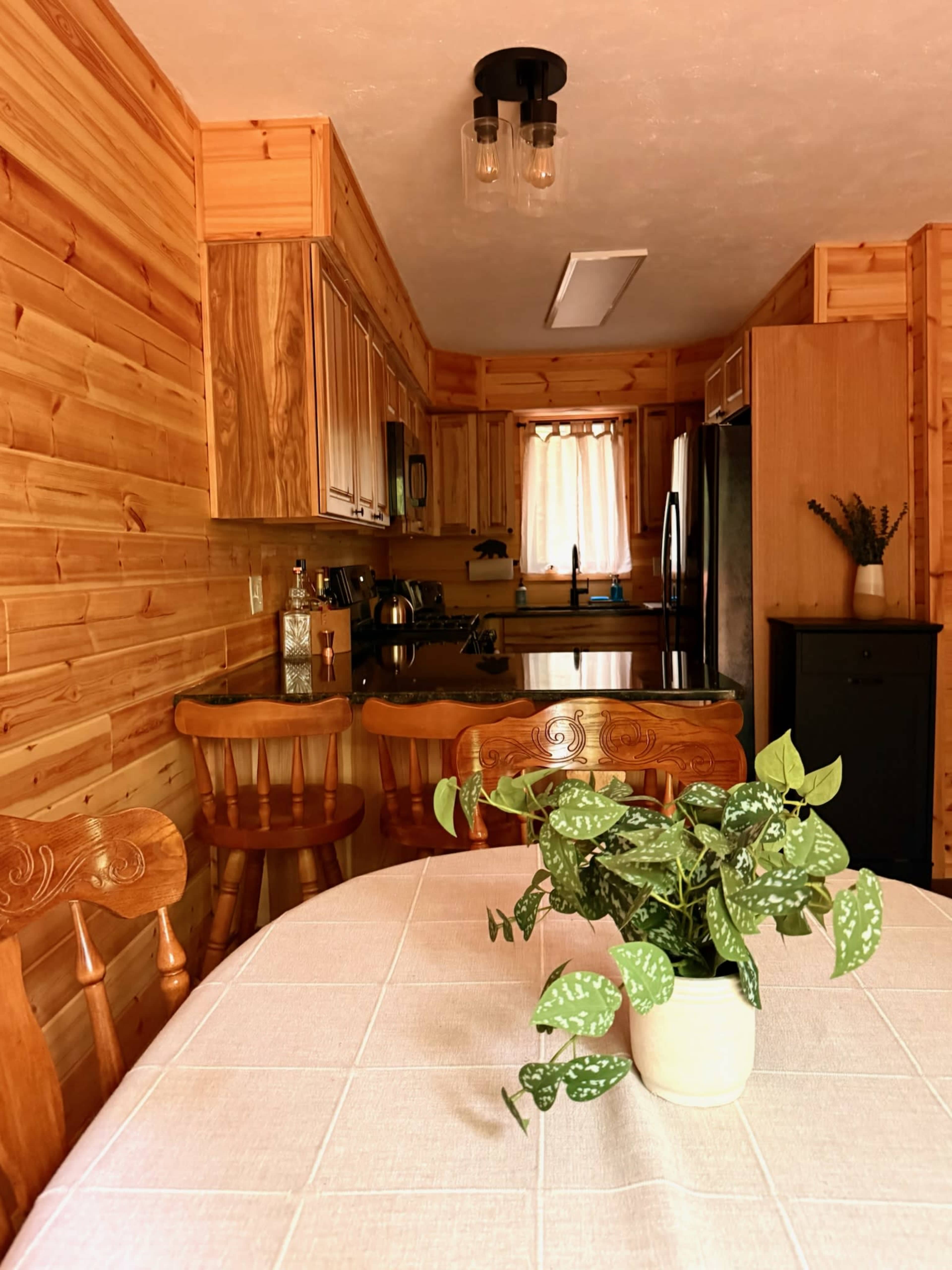 Mountain Cabin with Modern Interior Image in Tobyhanna Township, Blakesslee, PA