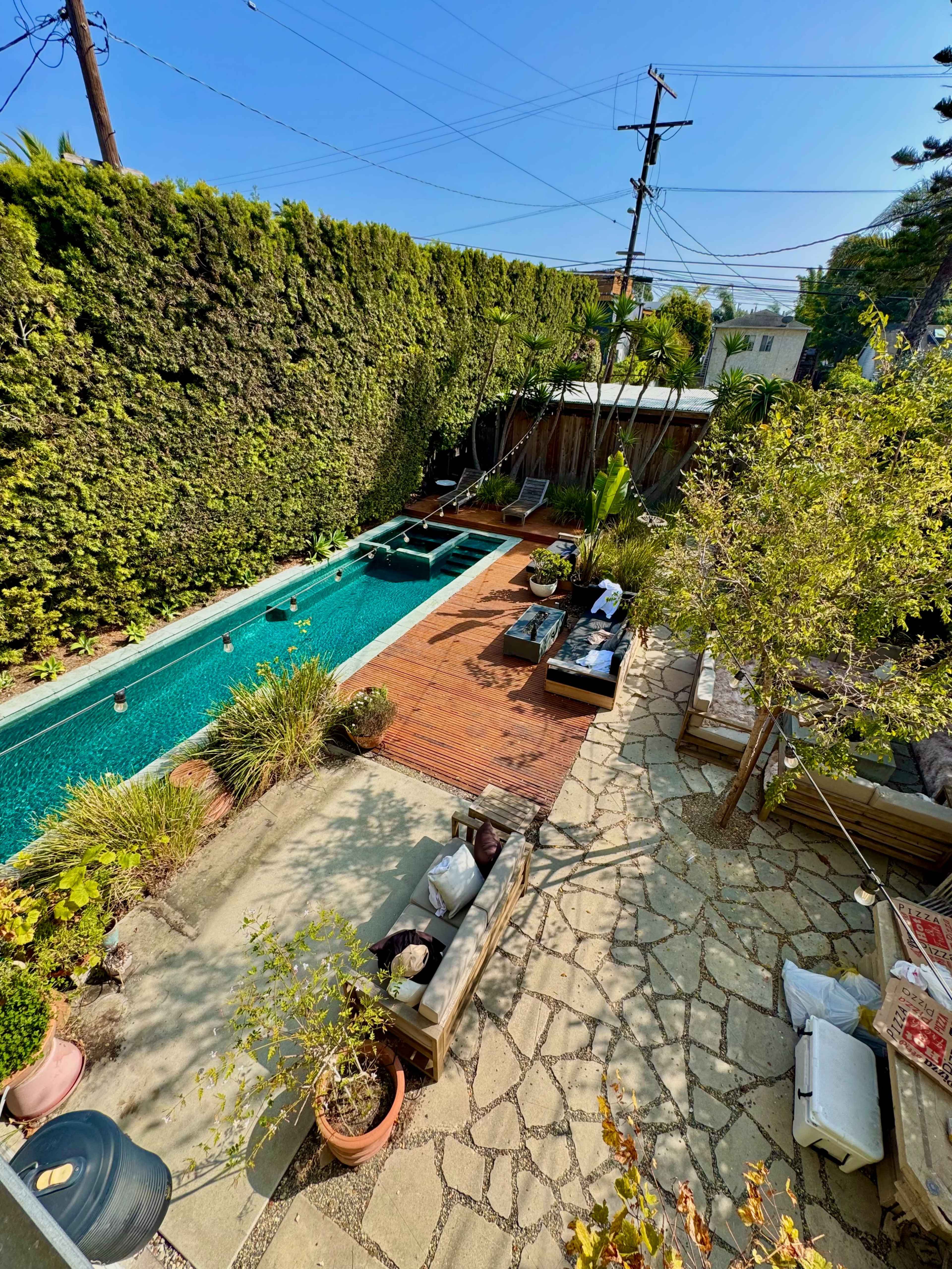 The image shows a landscaped backyard with a swimming pool, wooden deck, lounge chairs, and various plants against a backdrop of a green hedge.