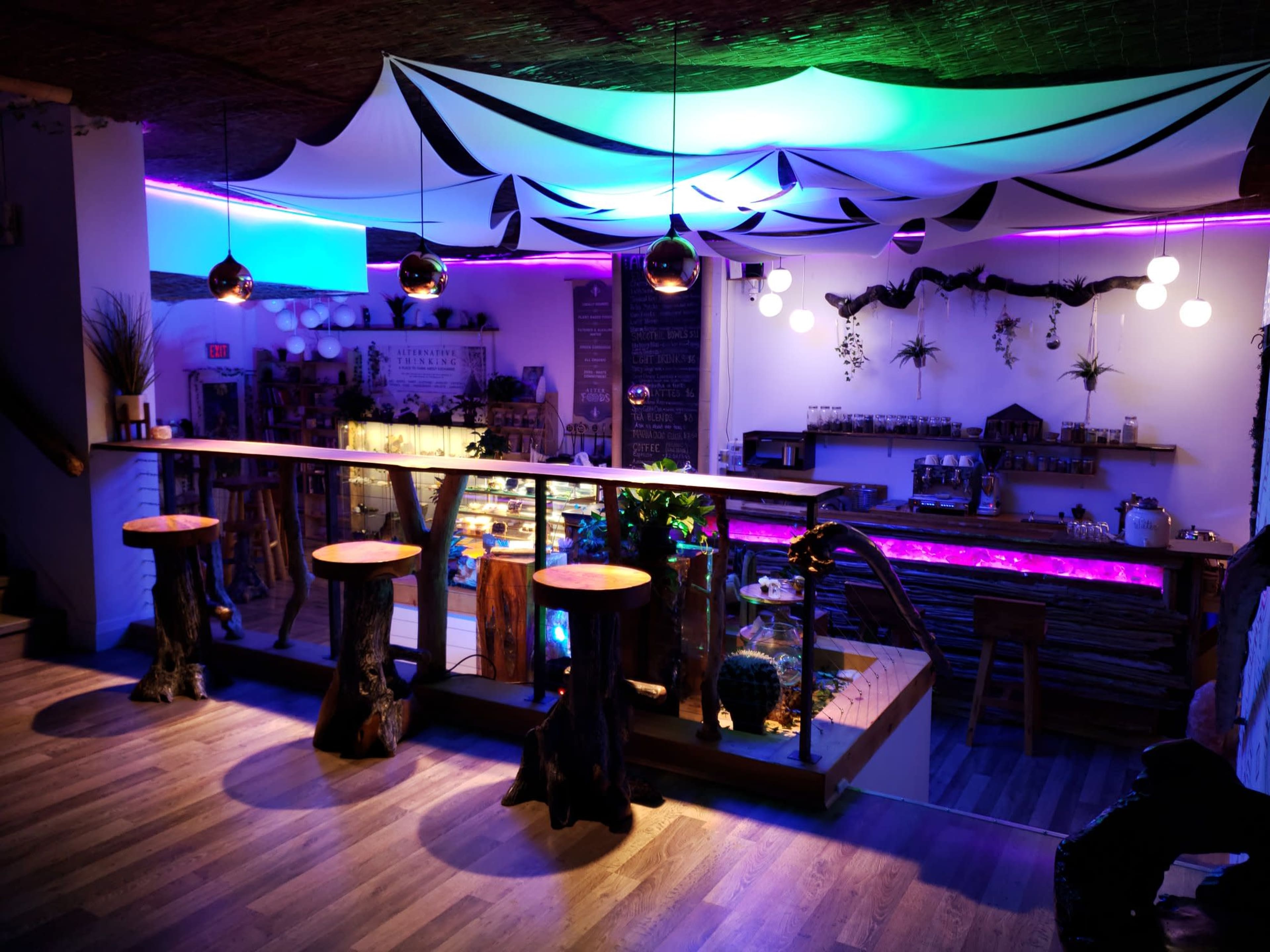 The interior of a cafe features wooden stools along a bar with colorful lighting, decorative plants, and various displays in the background.