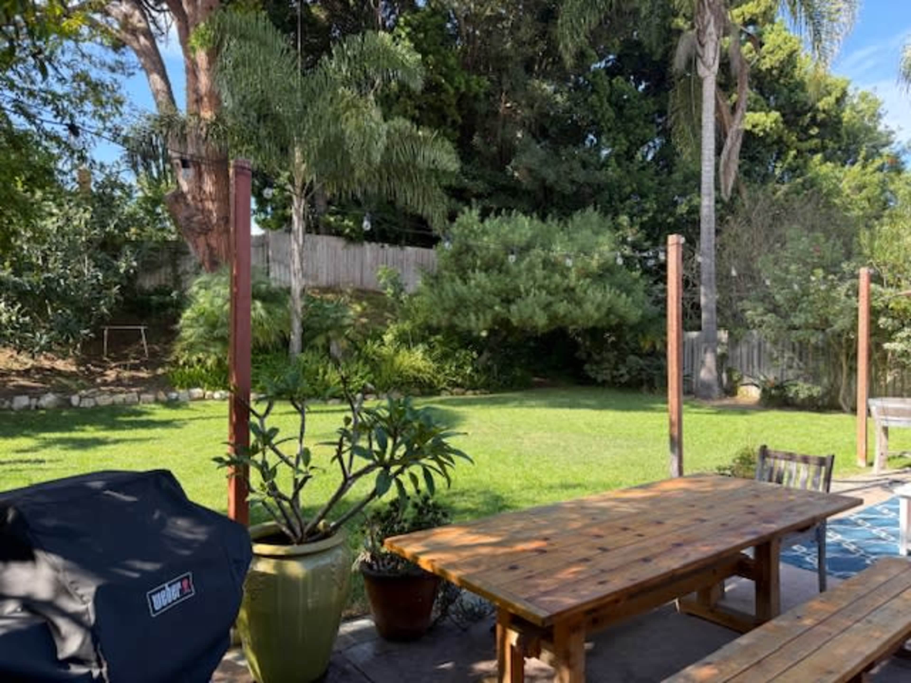 Verdant Green Backyard with palm trees, grass, and privacy! Image in Del Mar Heights, Del Mar, CA