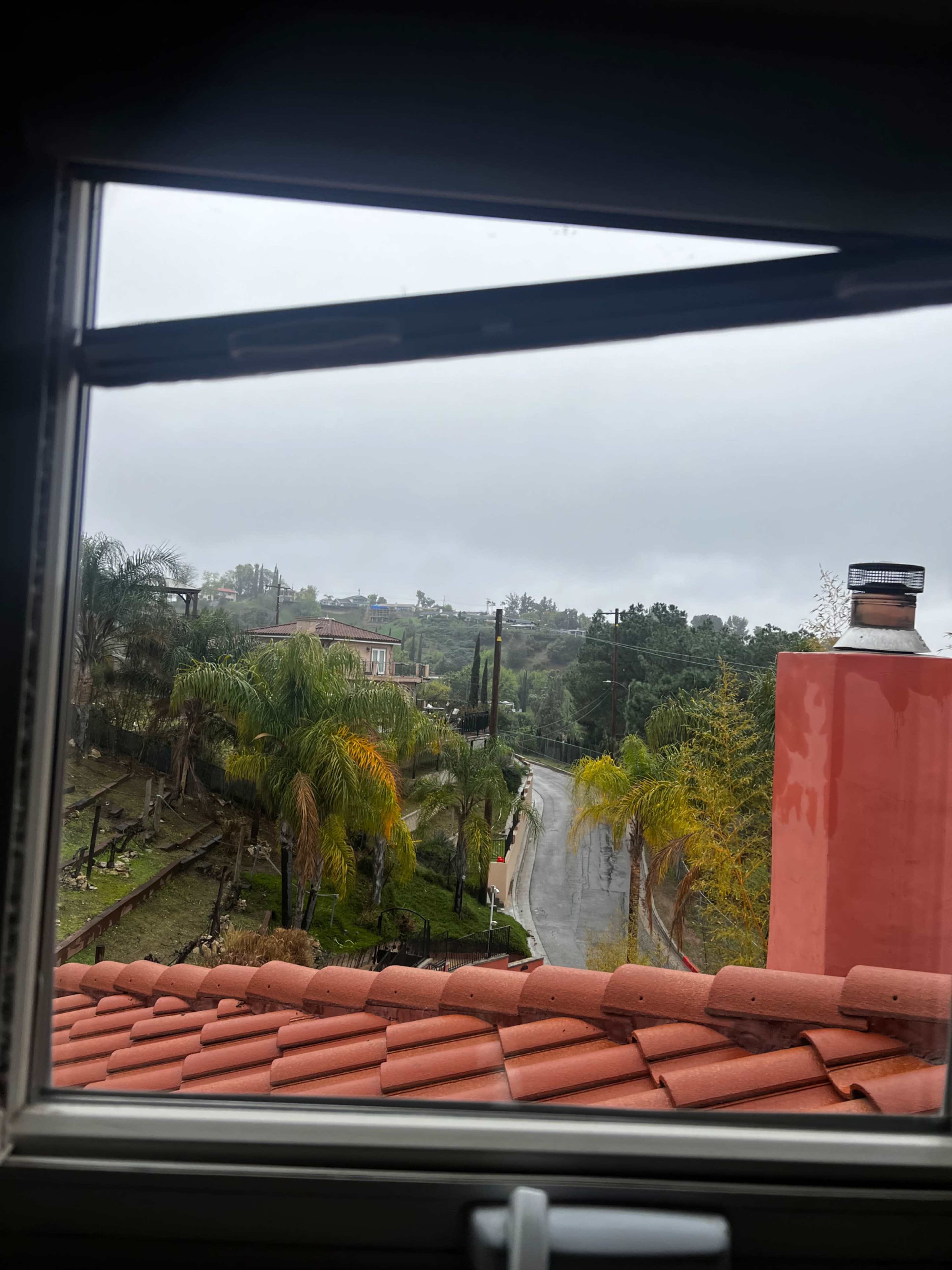 The view from the window shows a winding road lined with palm trees and a cloudy sky.