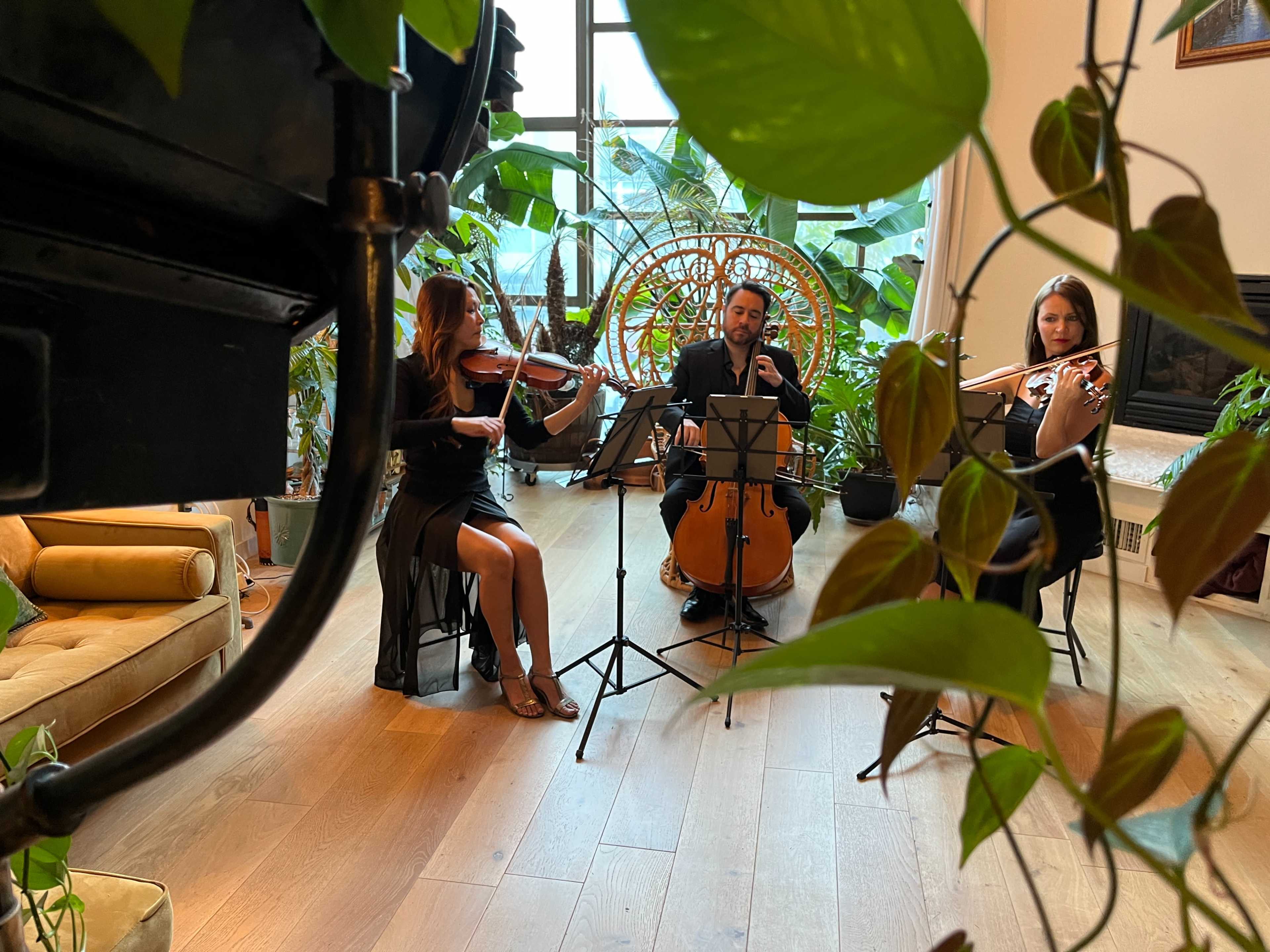 SoMA loft transformed into a tropical indoor garden with industrial vintage decor Image in SoMa, San Francisco, CA