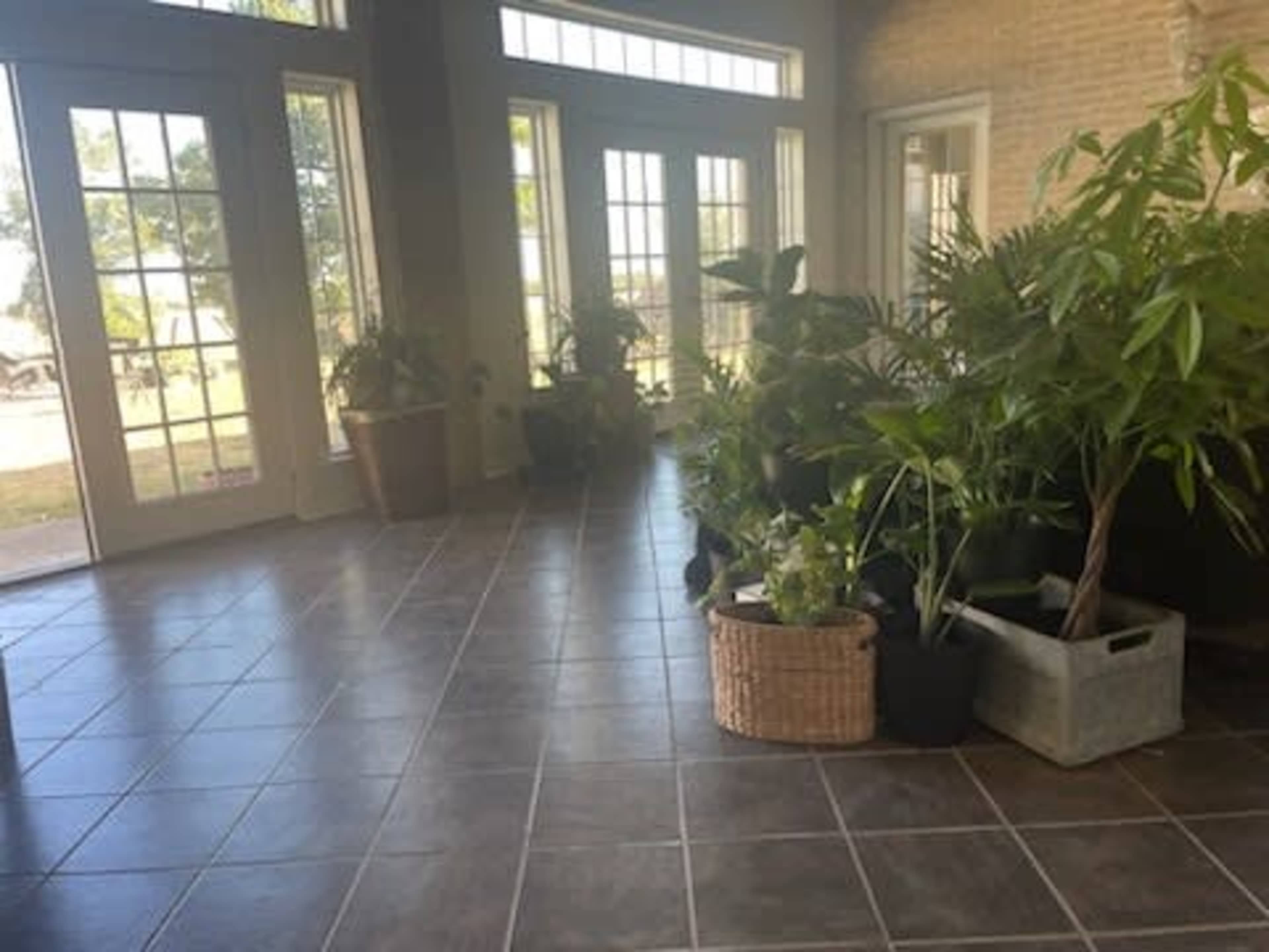 A spacious foyer with large windows and various potted plants arranged around the tile floor.