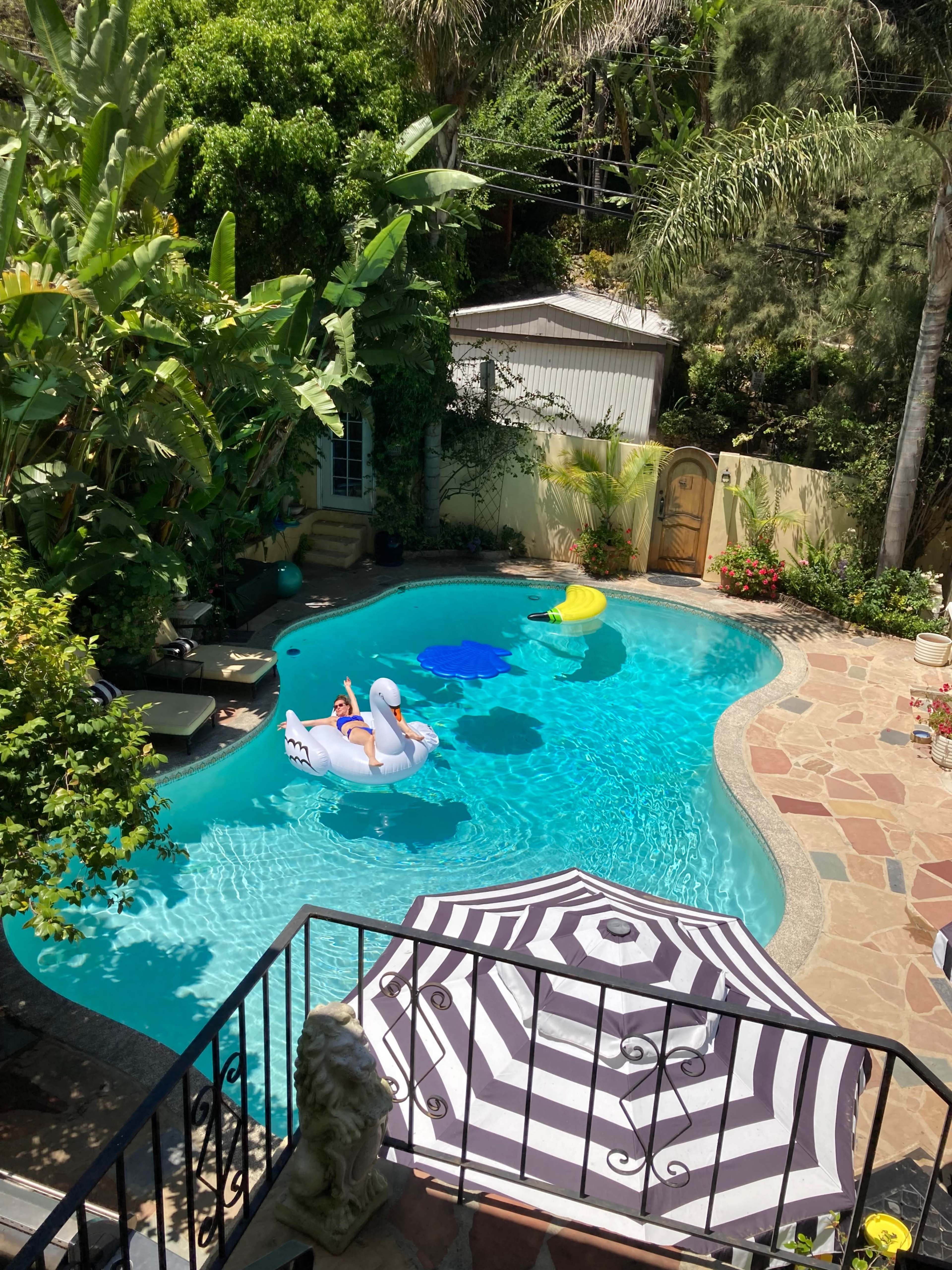 A clear blue swimming pool featuring inflatable toys surrounded by tropical plants and stone pathways.