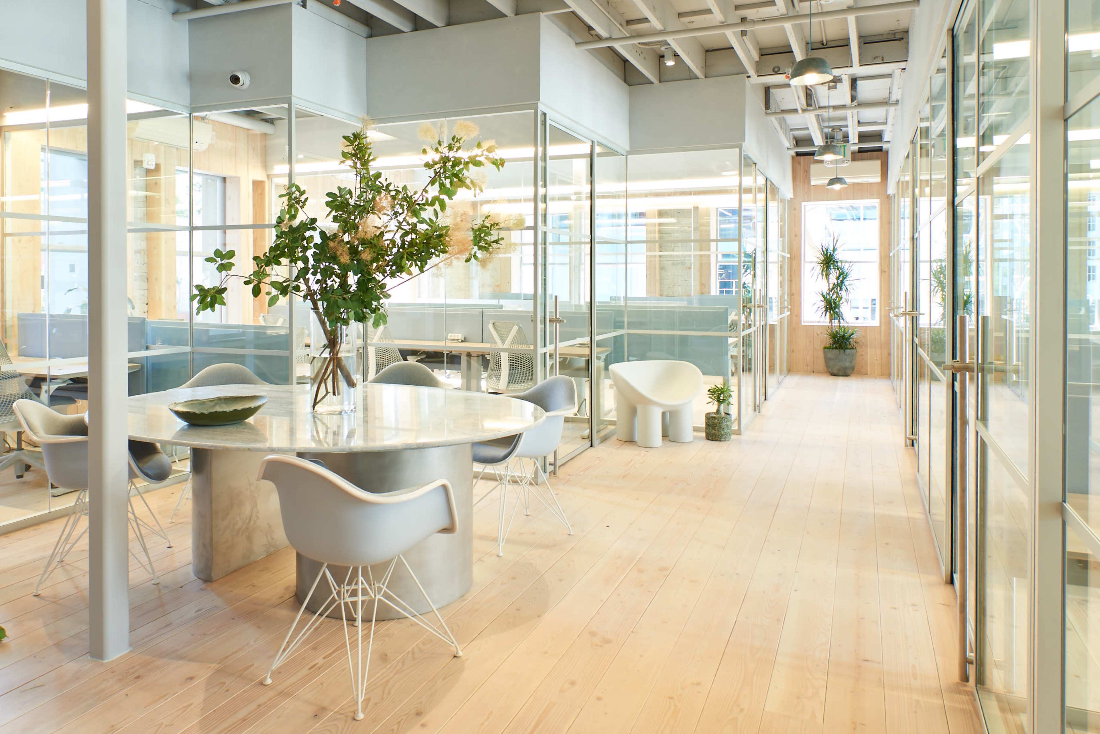A modern office space with glass walls, a round table surrounded by chairs, and potted plants along the pathway.