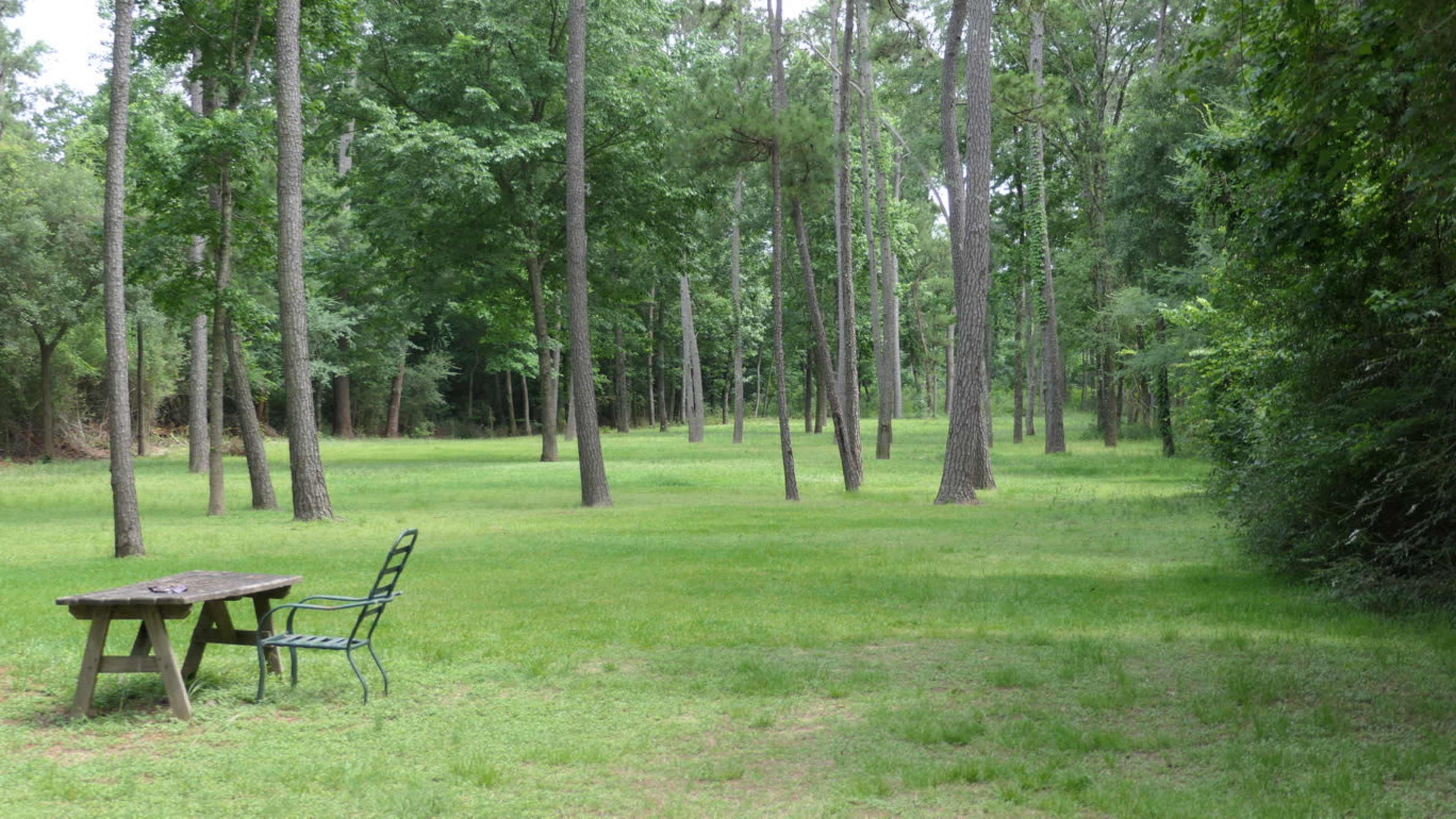 A wooden picnic table and a green chair are set in a large grassy area surrounded by tall trees.